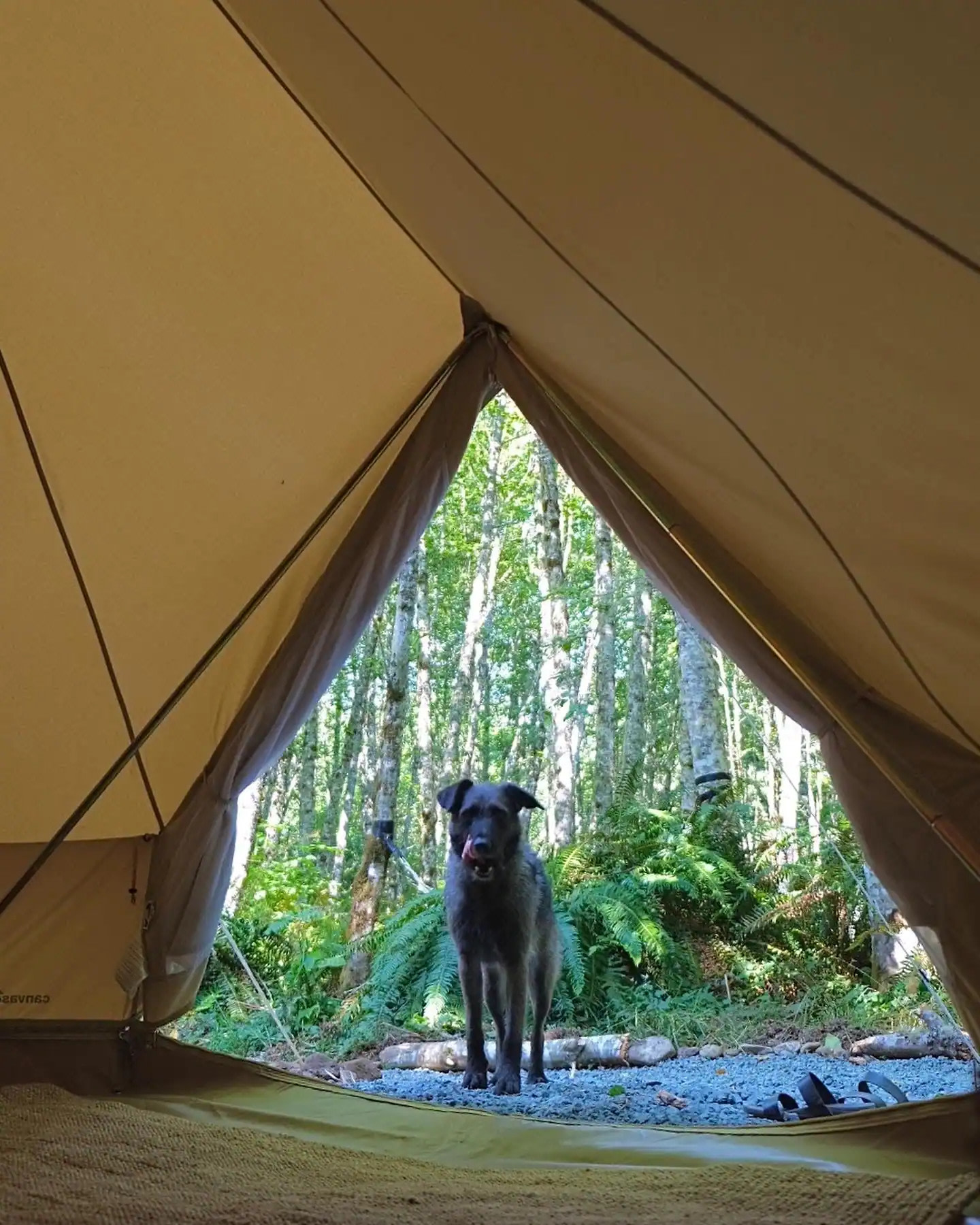 Seaforest Eco-Retreat