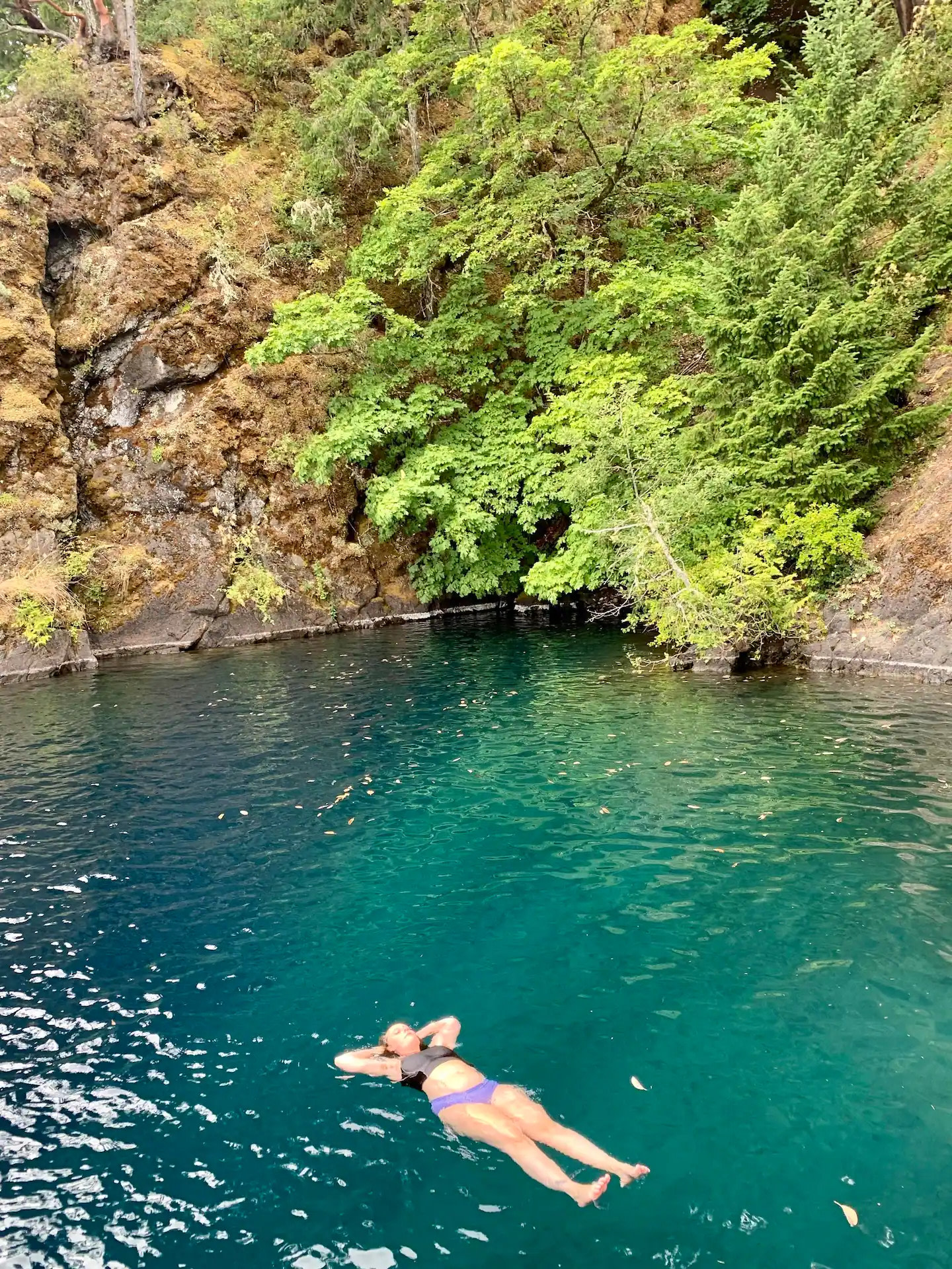 Seaforest Eco Retreat