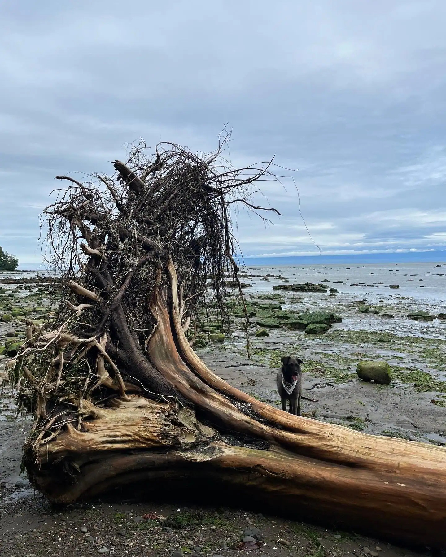 Seaforest Eco-Retreat