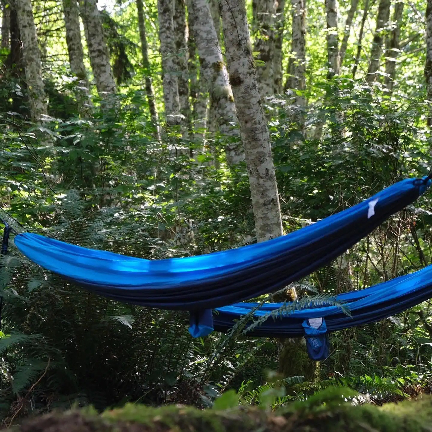 Seaforest Eco Retreat