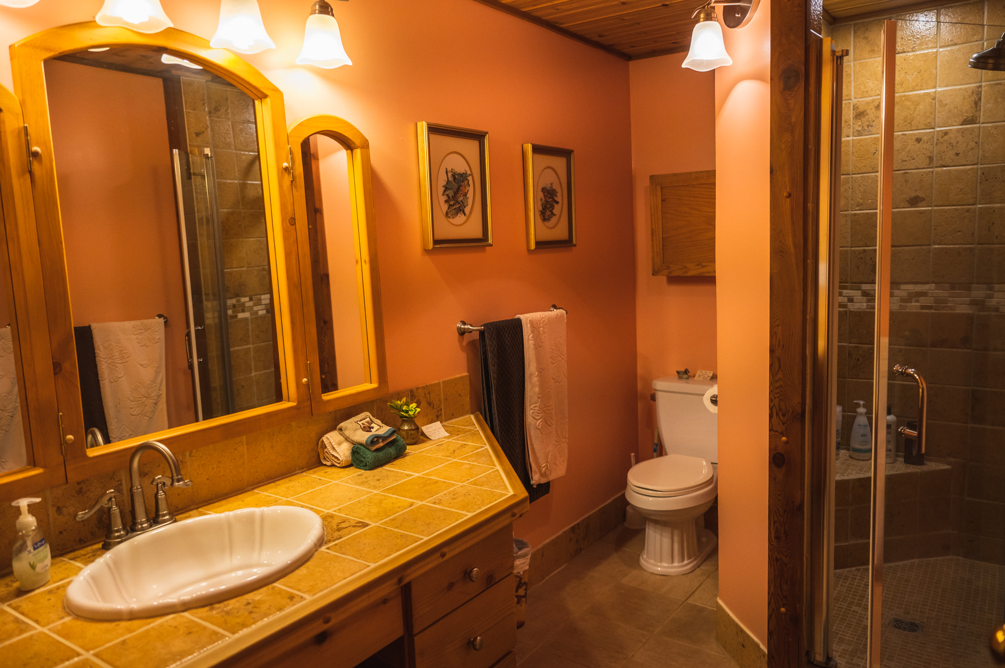 An Experience!-Golden Ears Glamping