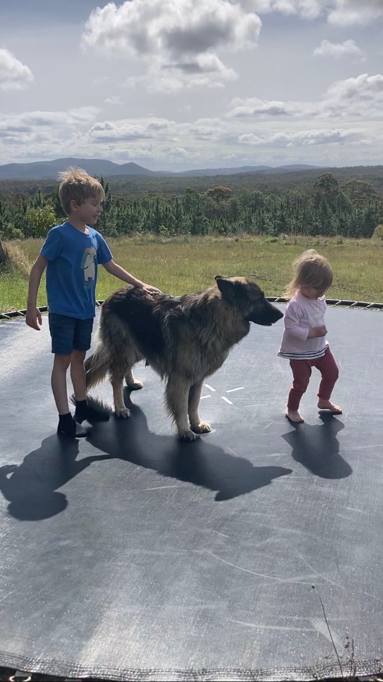 Fame Mountain Camp - pets welcome