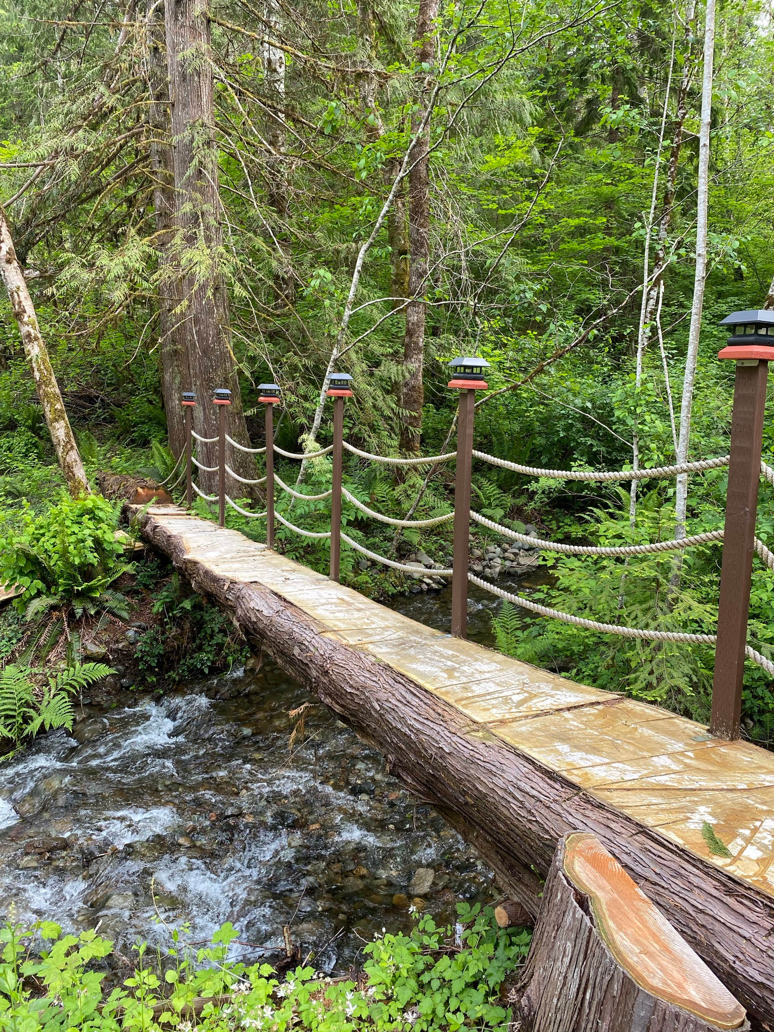 Olympic Wanderer~Creekside~HotTub