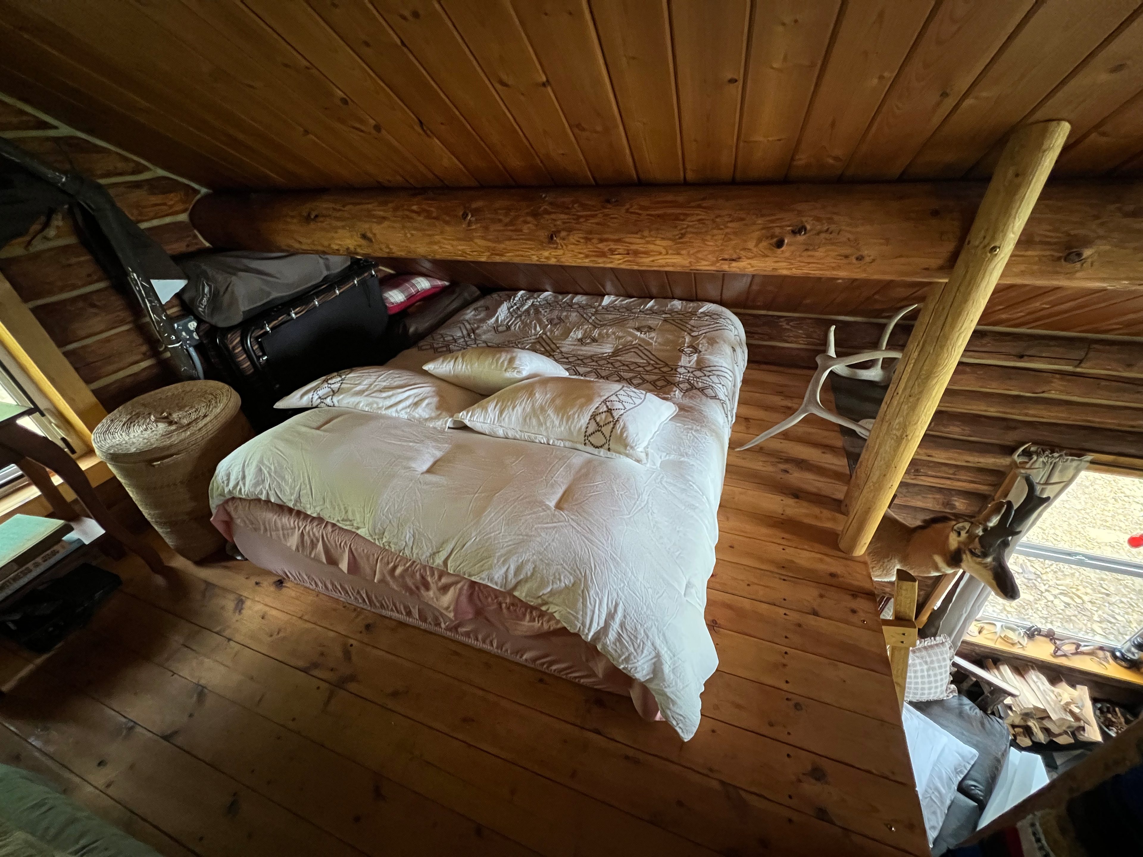 Two cozy queen memory foam beds in loft. One downstairs on pullout sofa. zzzzzzzzzz and aaaahhh