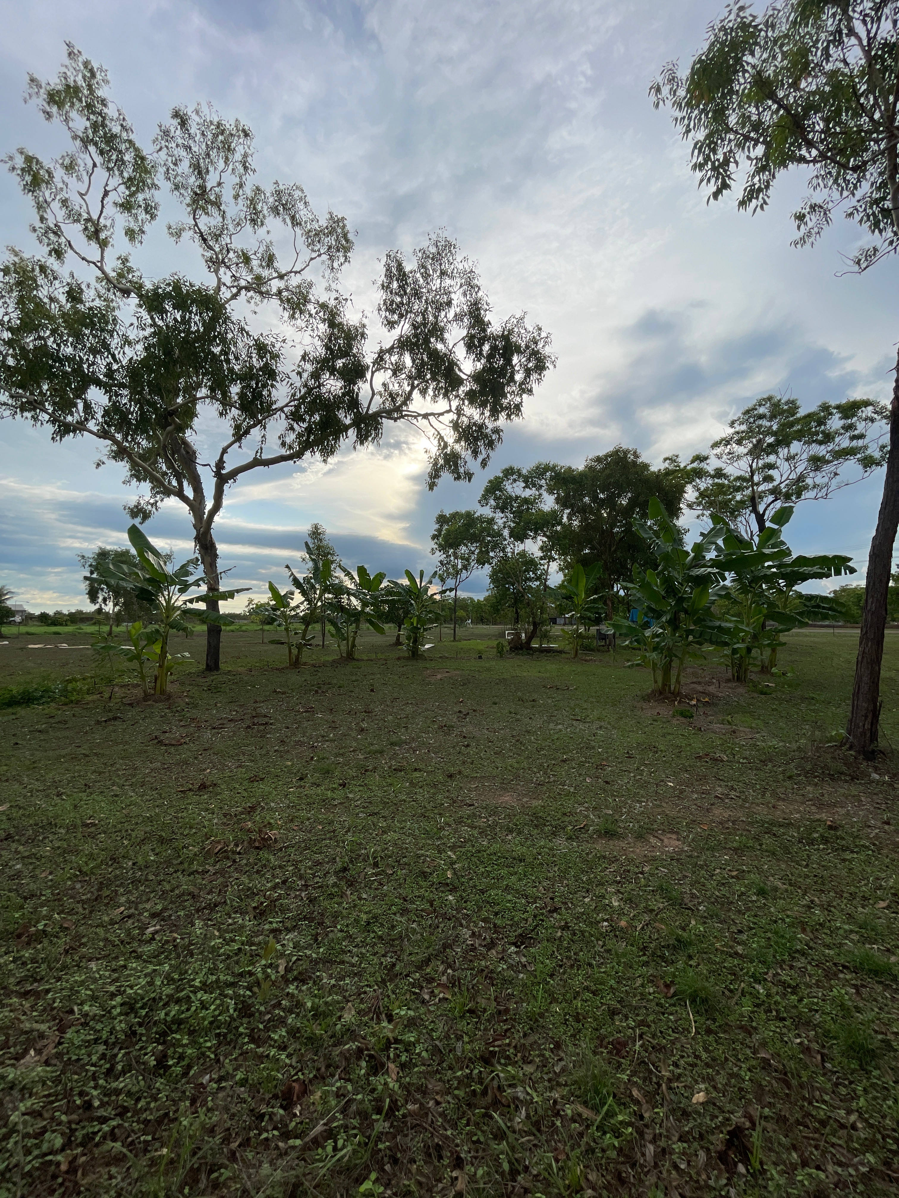 Williams family farm