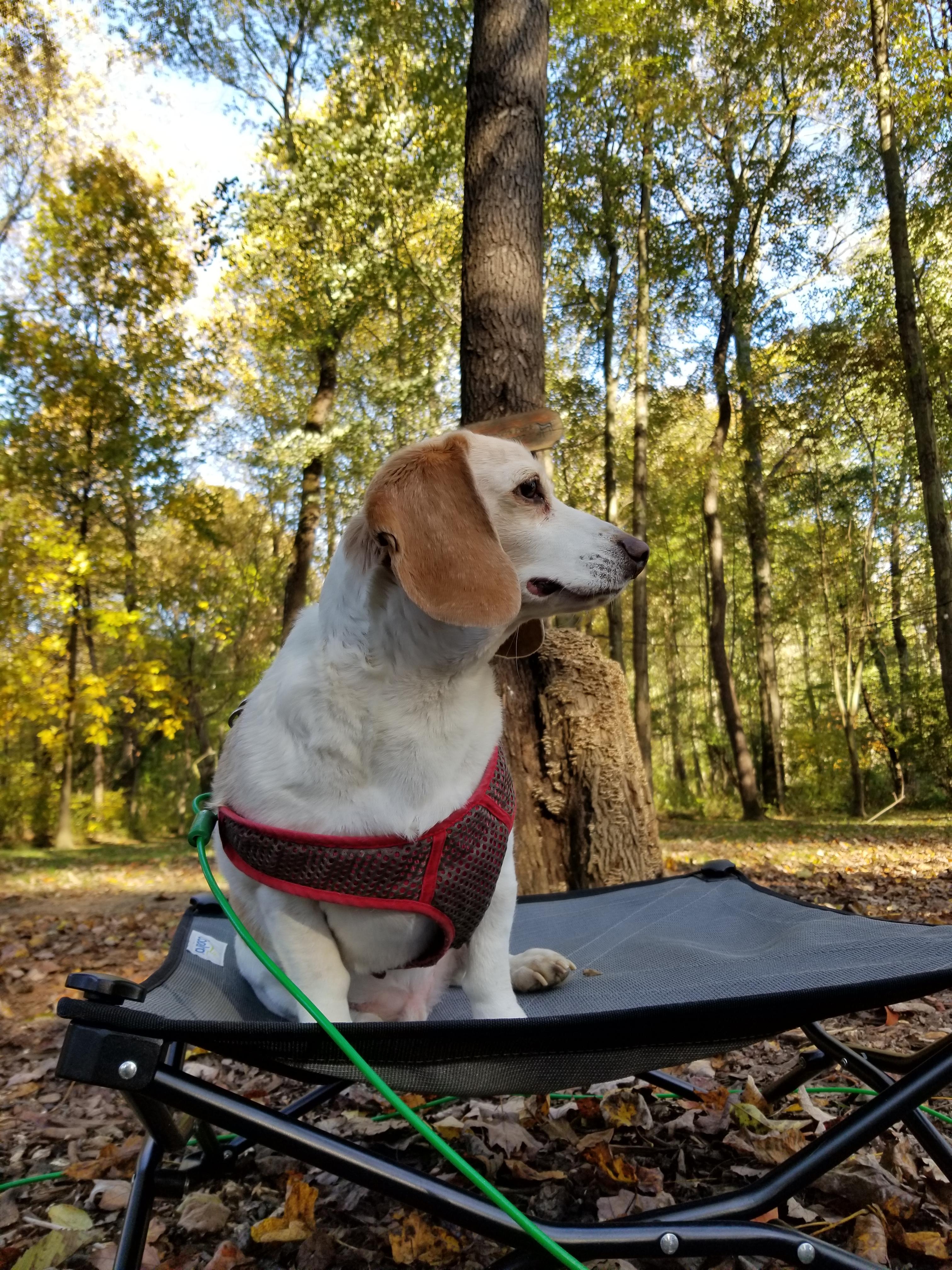 HUNTER'S PARK BY WASHINGTON, DC