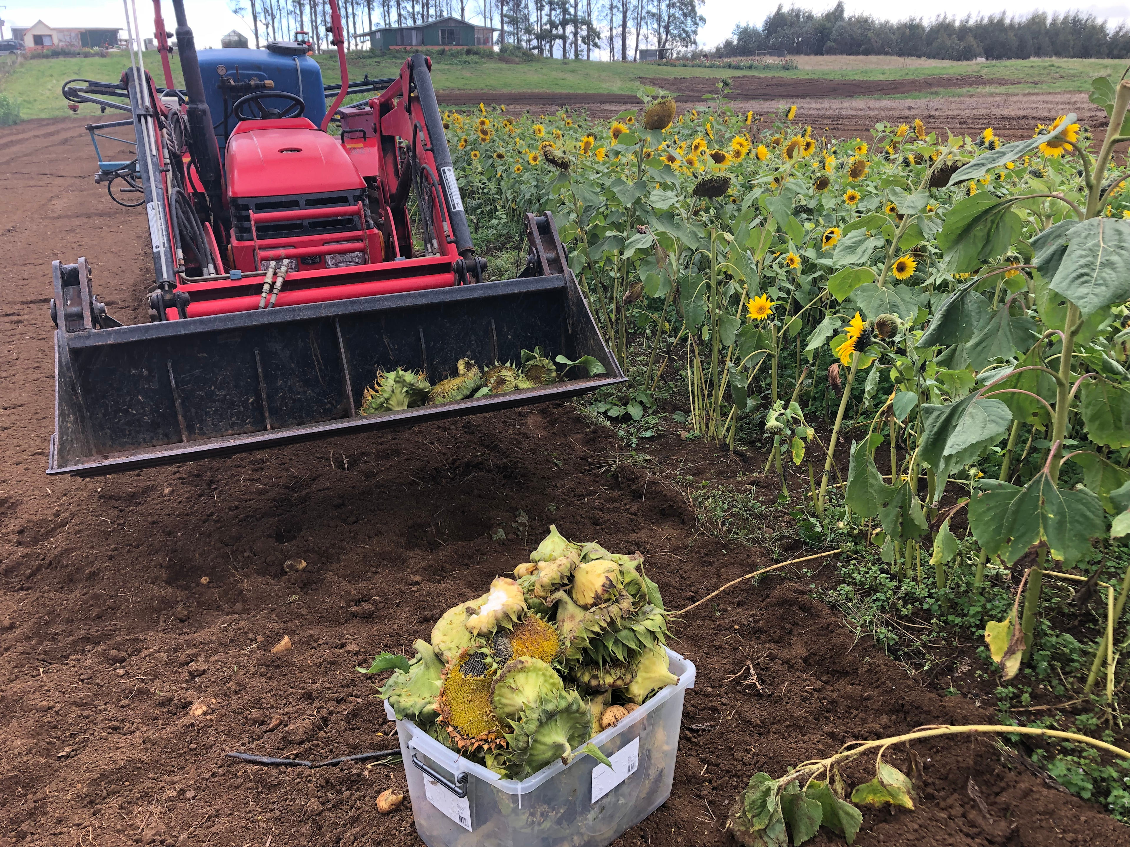 Japa Hill Farm and Animal Sanctuary