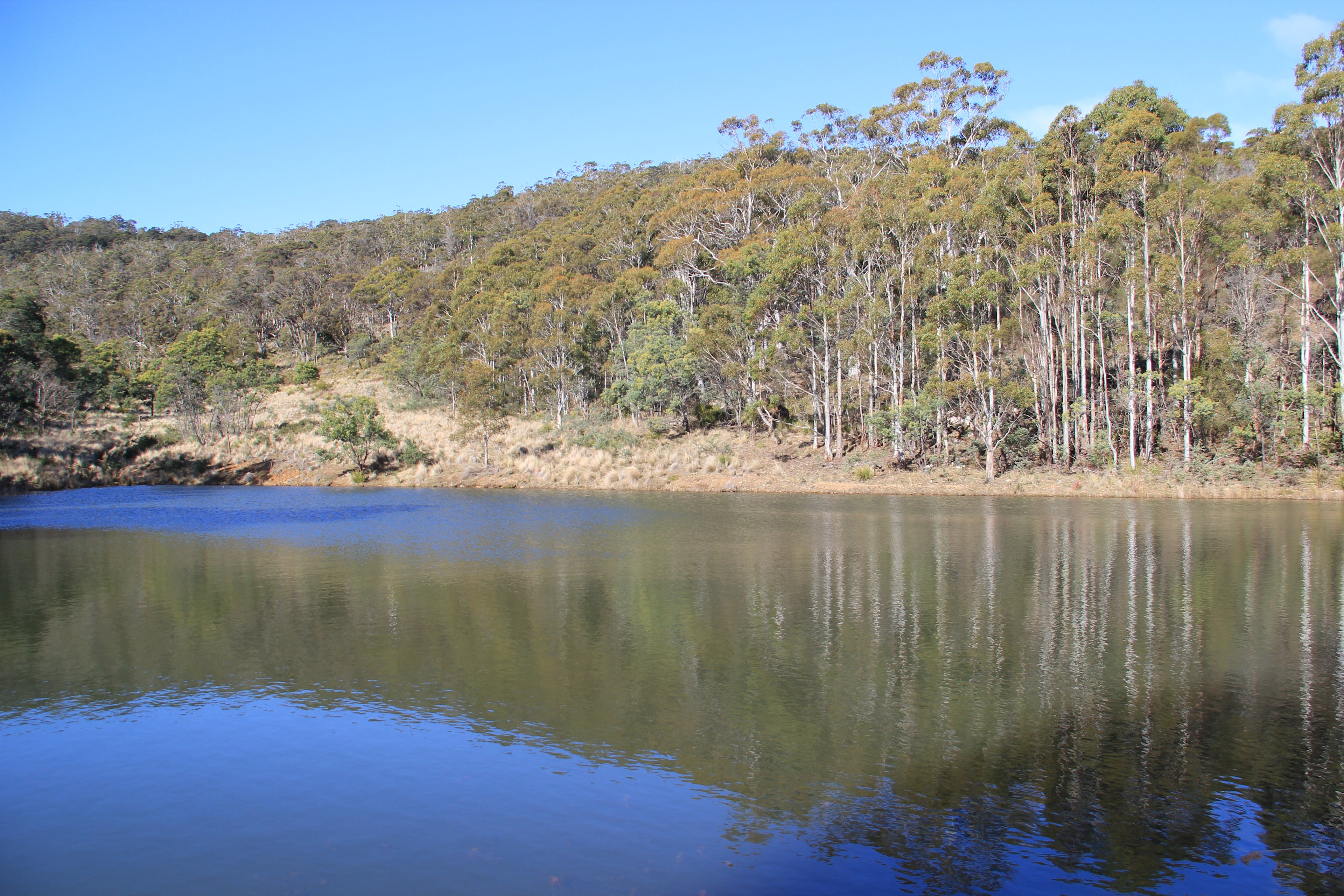 Canoe Polo Dam (yes, when the local team doesn't play, it's a beaut swim spot!)