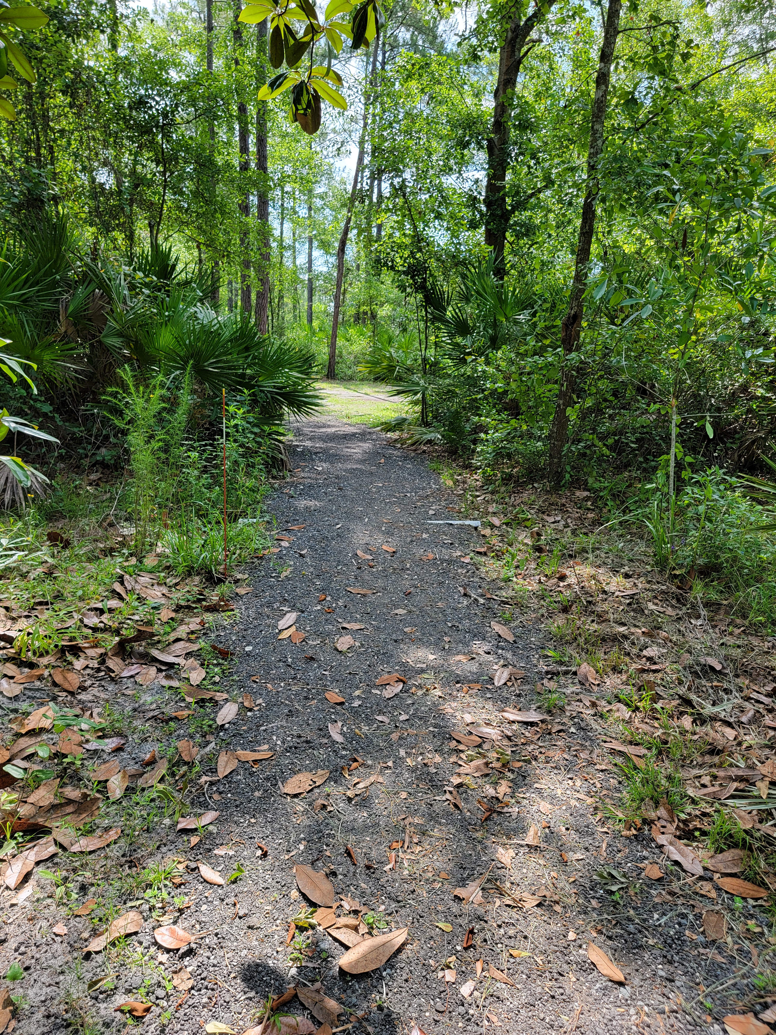 Okefenokee Pastimes Cabins & Campground
