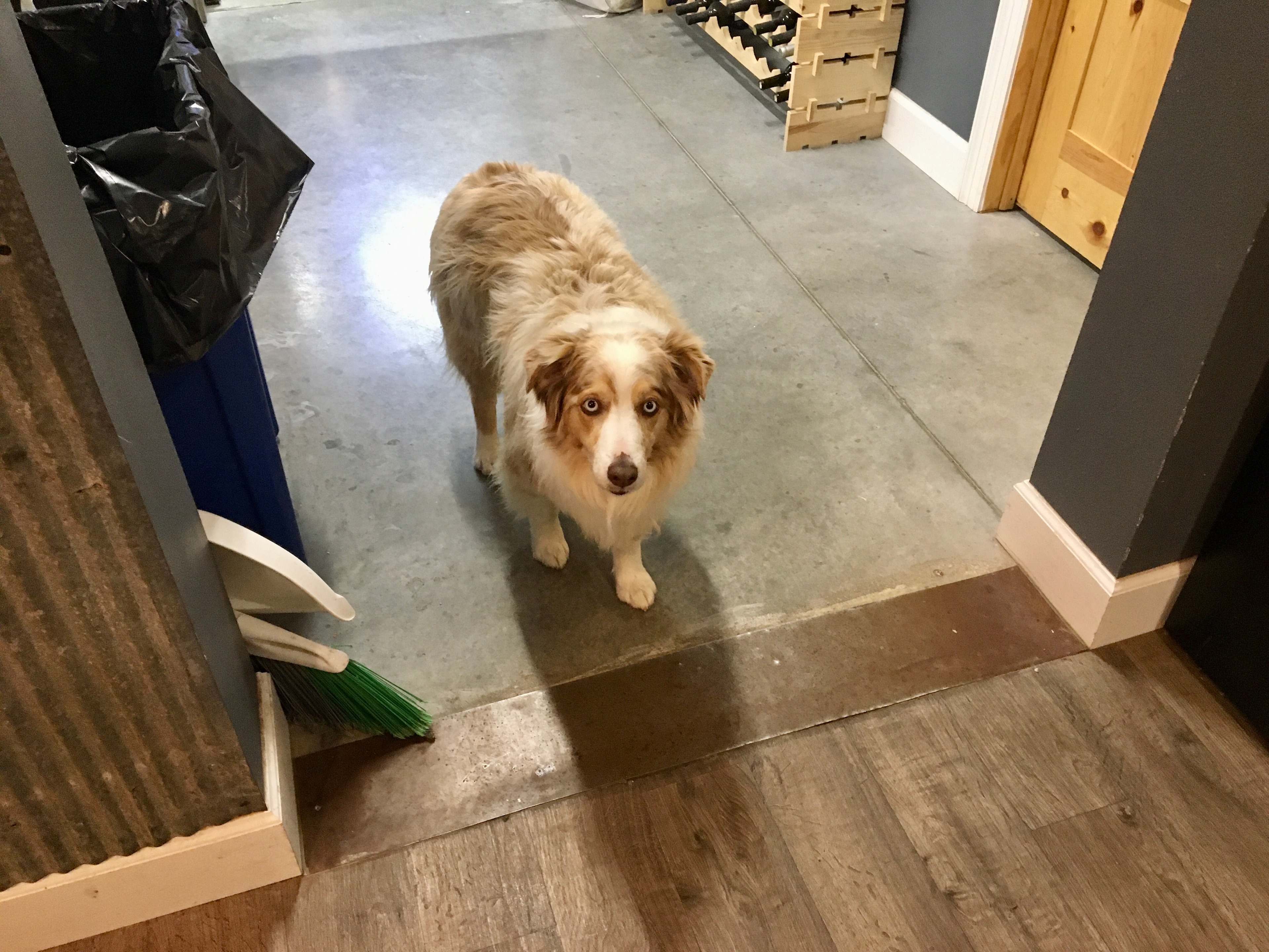 Papa Moon Vineyards Winery Cidery 