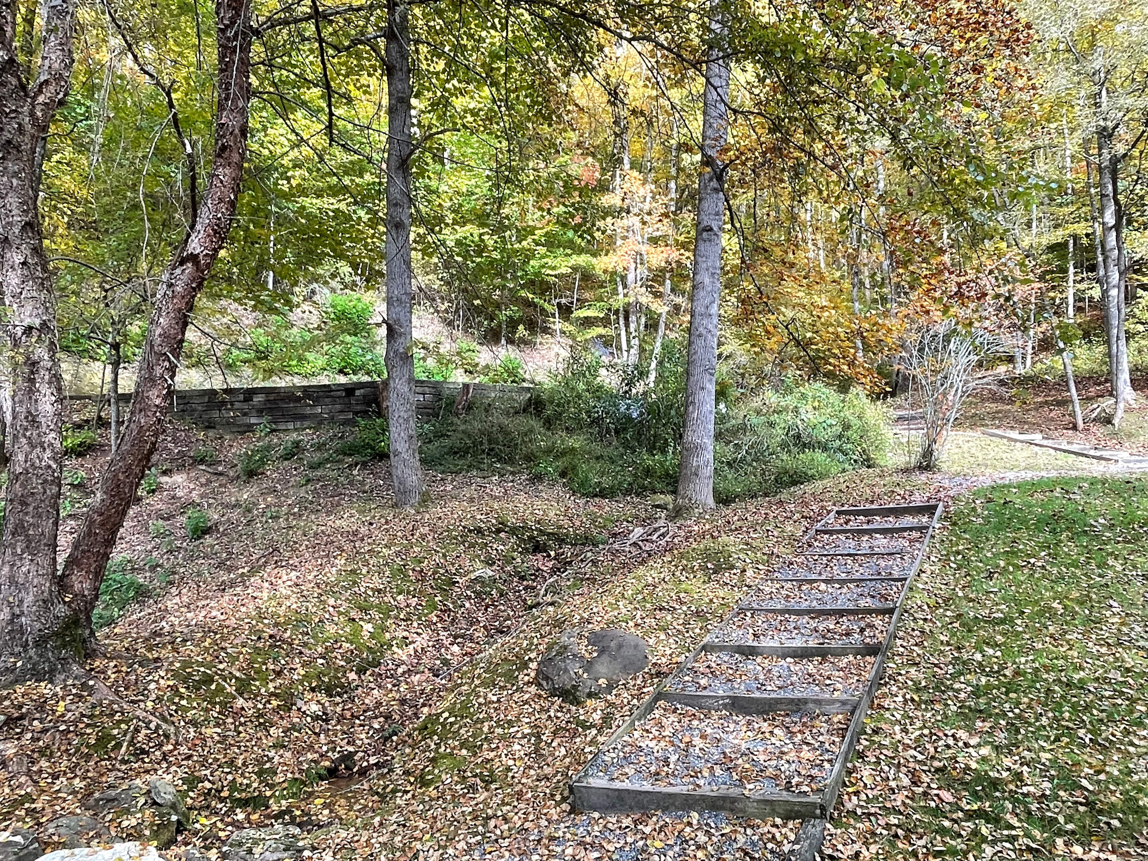 Cane Creek Holler
