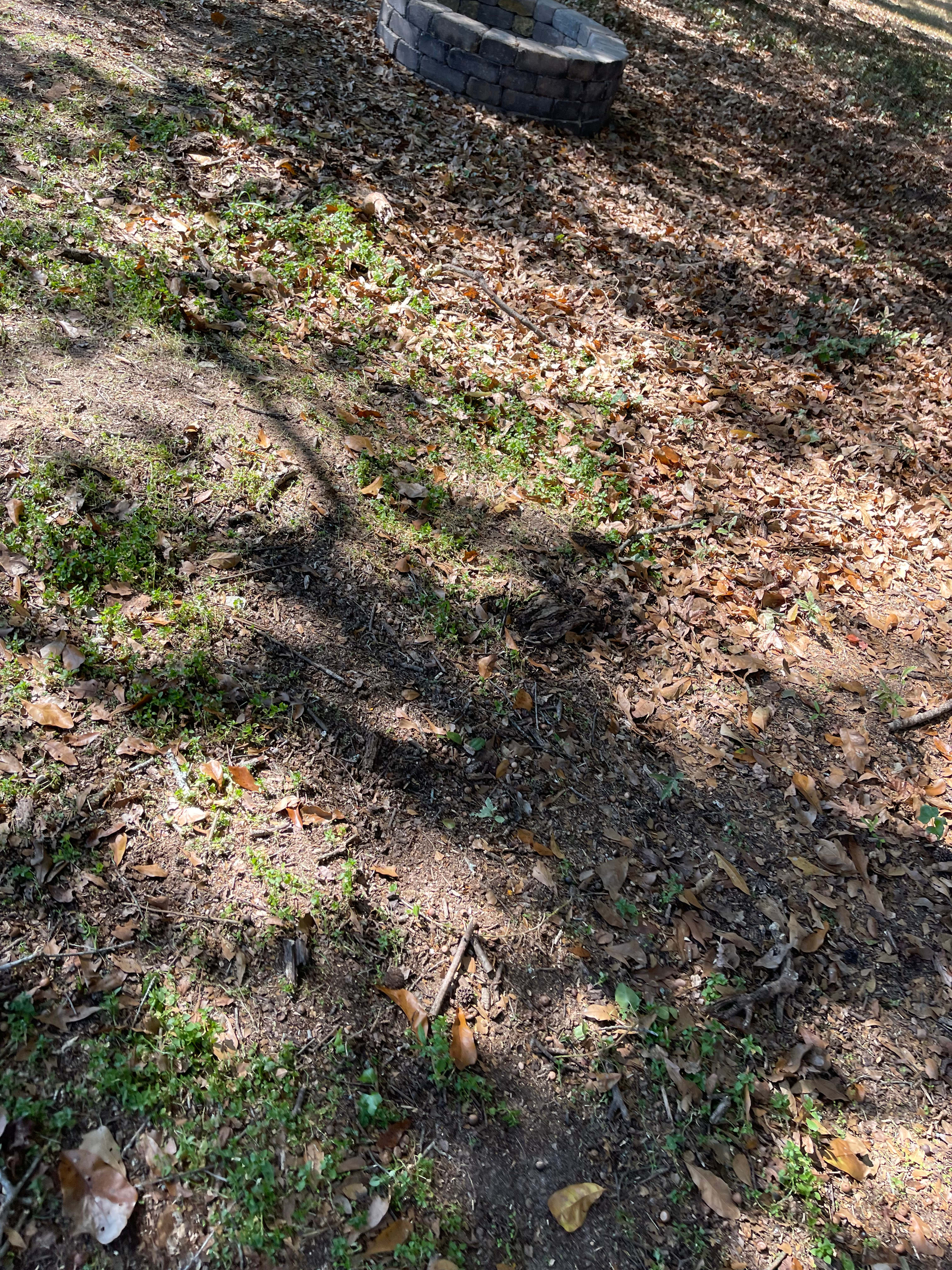 Campsite min from Ft Yargo