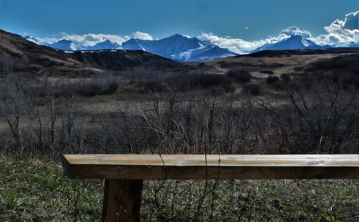 HollyWoods - Near Waterton NP