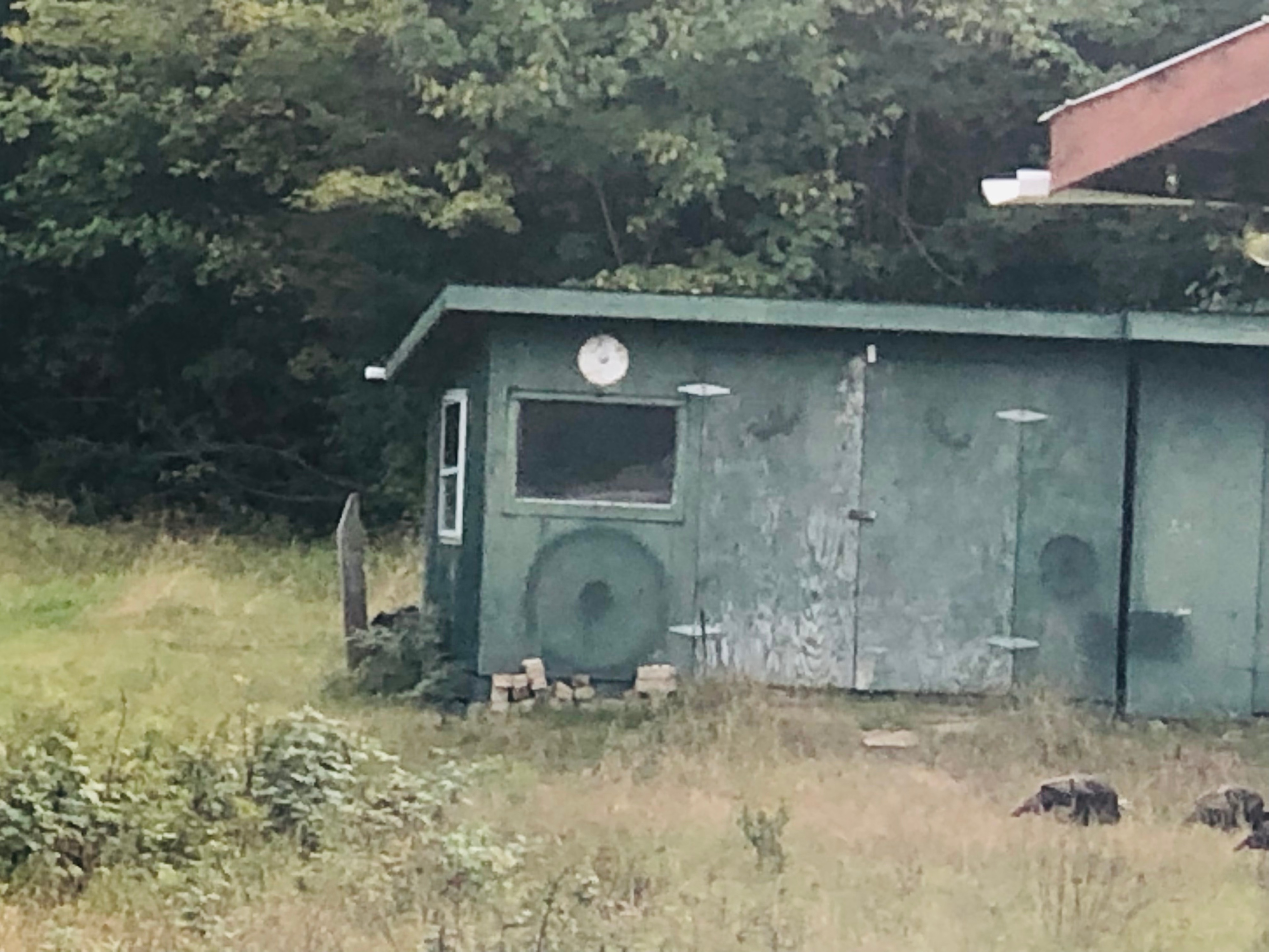 Le Mont des Nénuphars