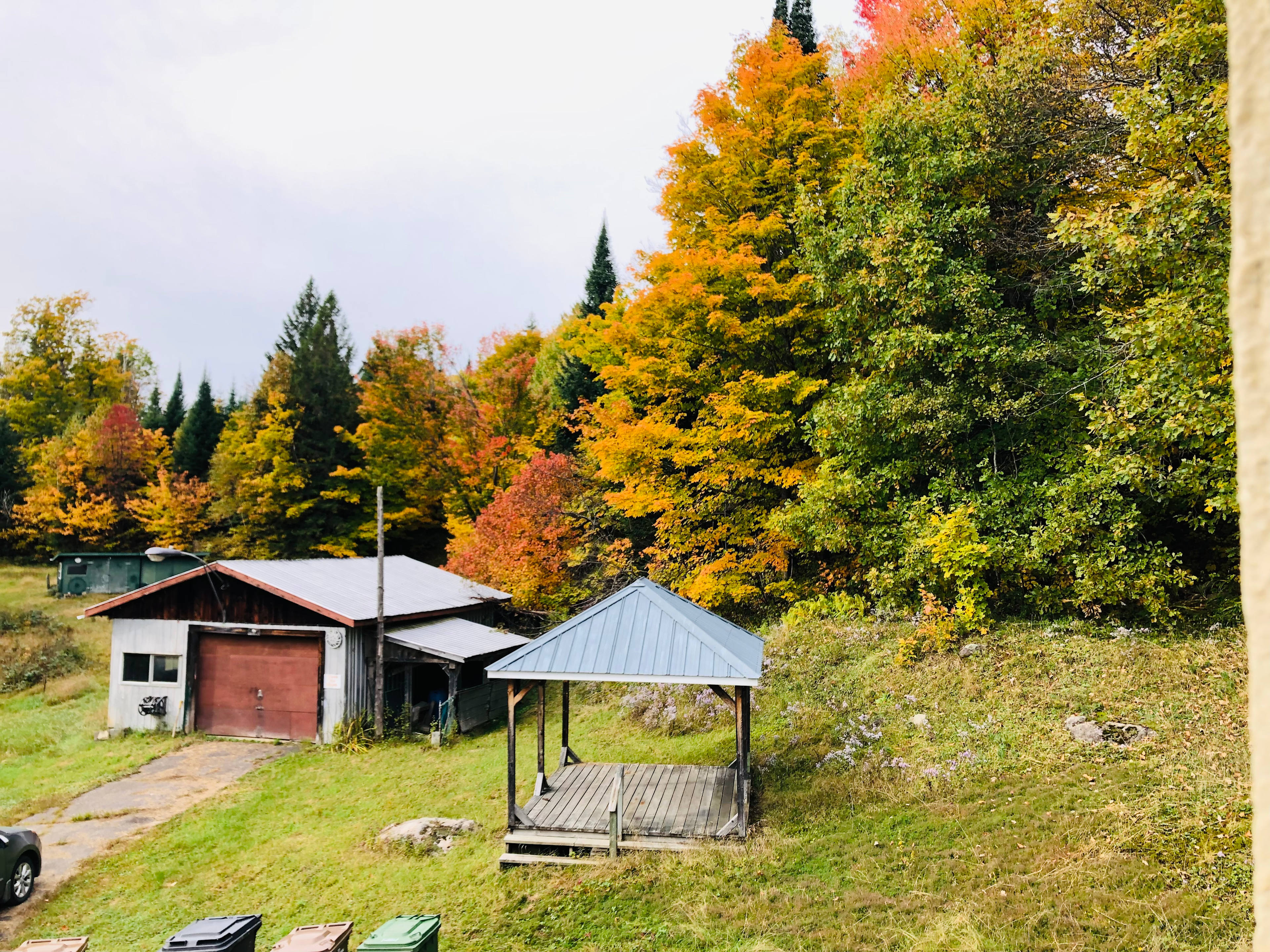 Le Mont des Nénuphars
