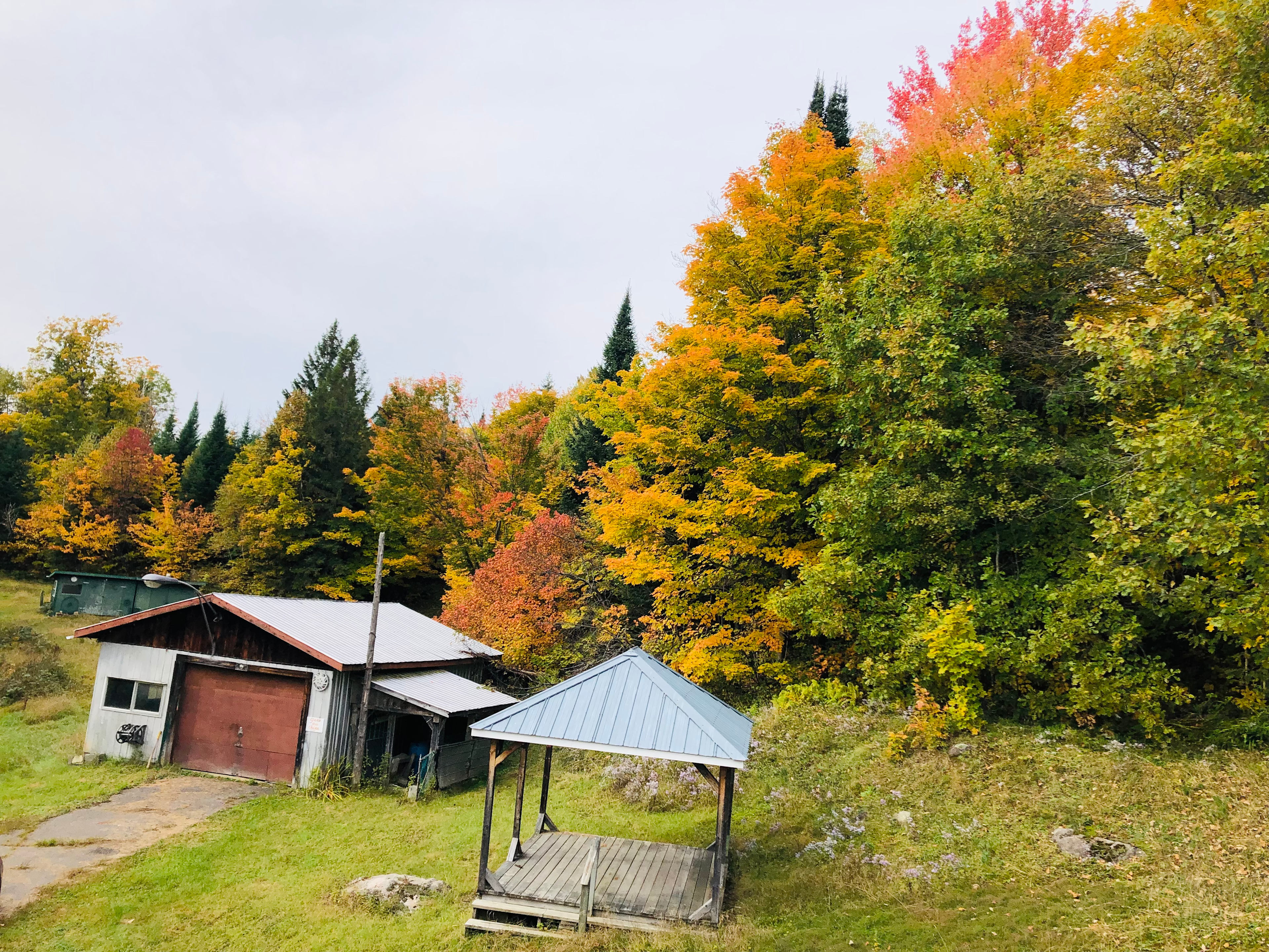 Le Mont des Nénuphars