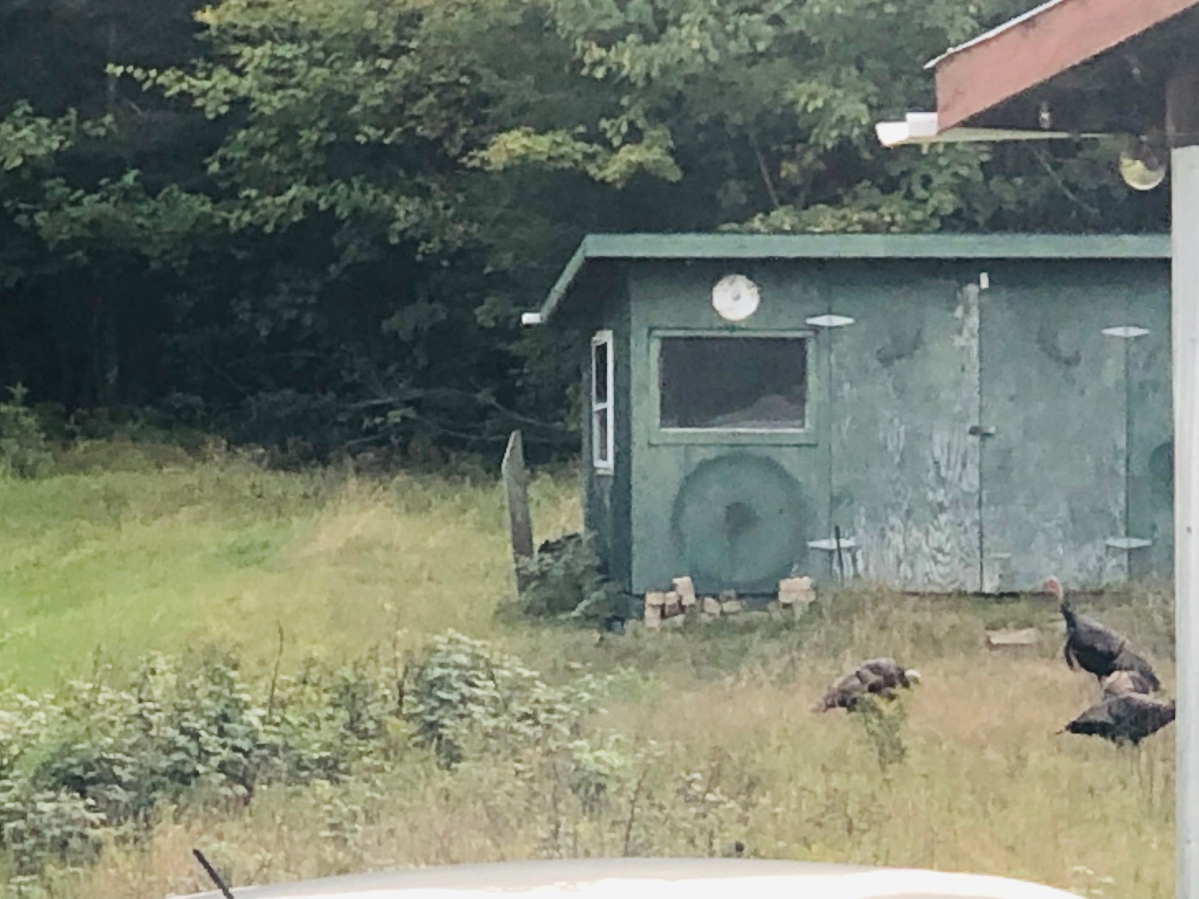 Le Mont des Nénuphars