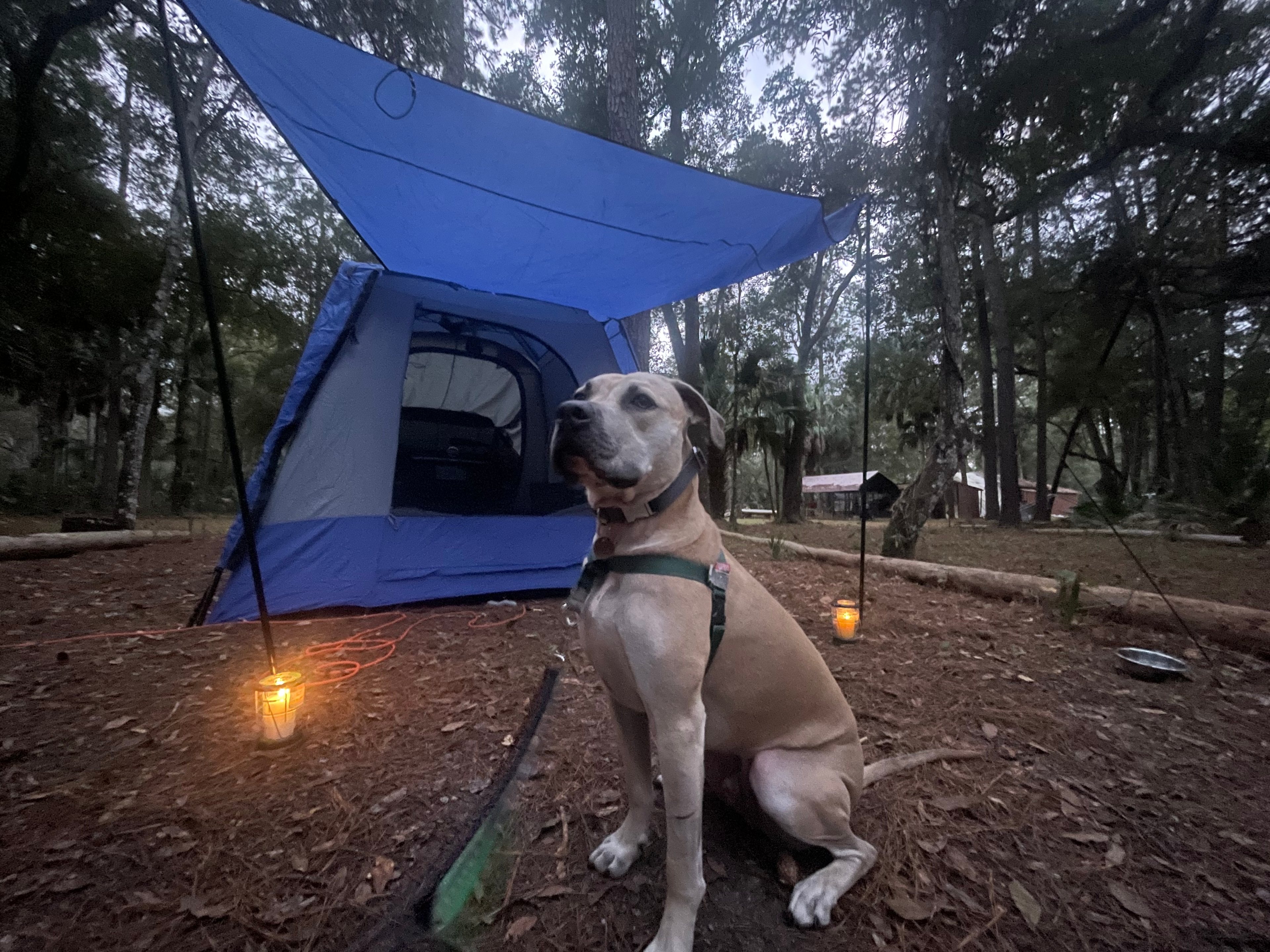 HandS Homestead Hipcamp