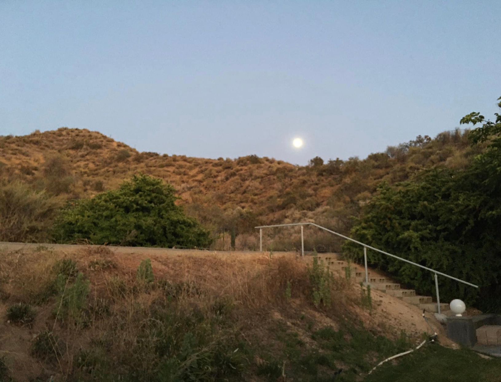 HIPTRIP Basecamp + Wildlife Habitat