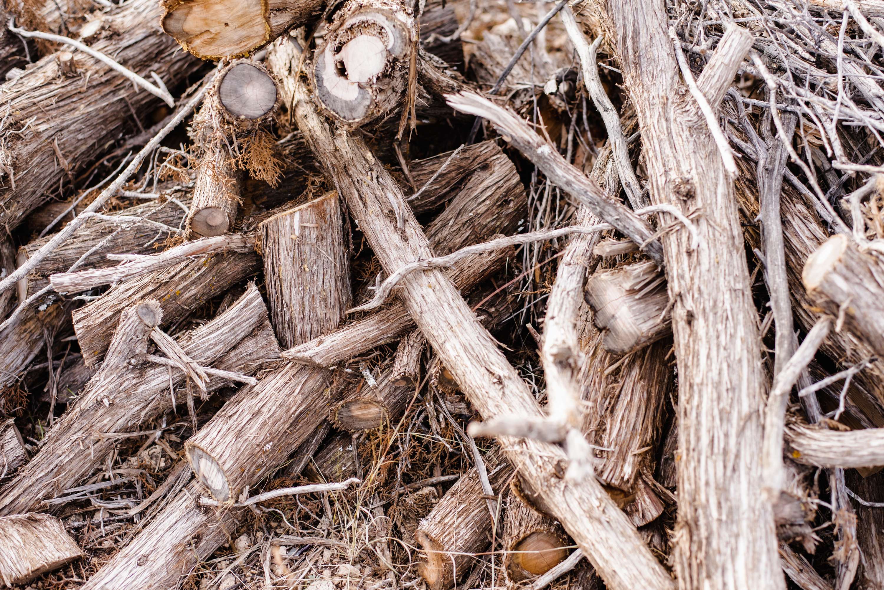 An abundance of firewood is readily available on site
