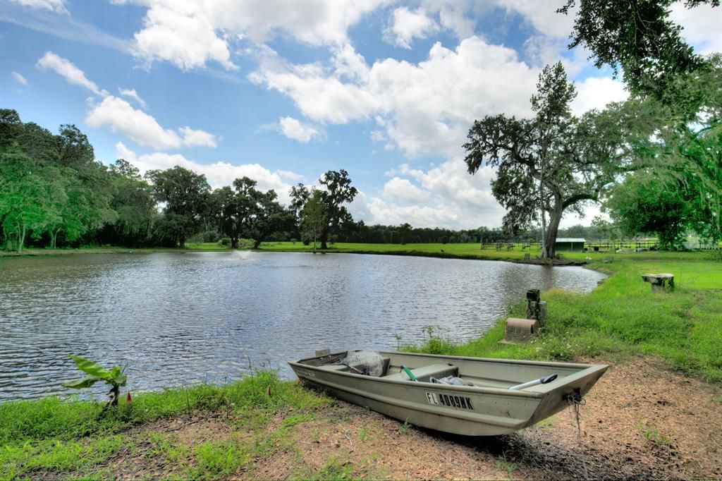 1 acre Spring Fed Pond no chemicals where you camp and fish if you like stocked with Tilapia, largemouth bass