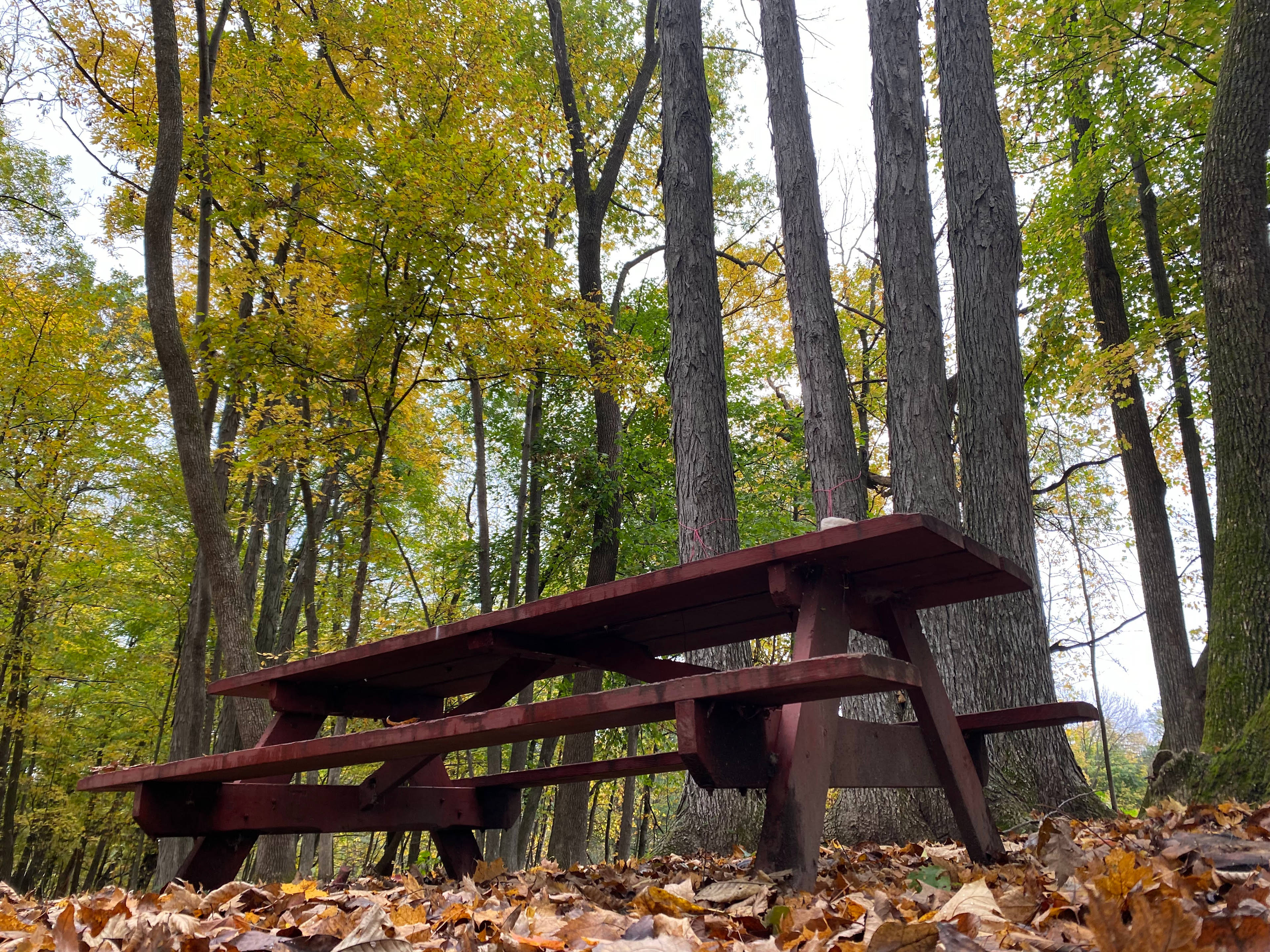 WHY Camp Worth Healing Yourself