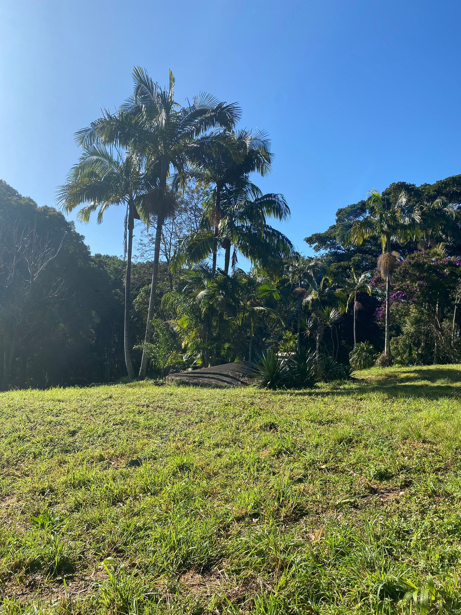 Friday Hut Escape / Lemon Tree Hill