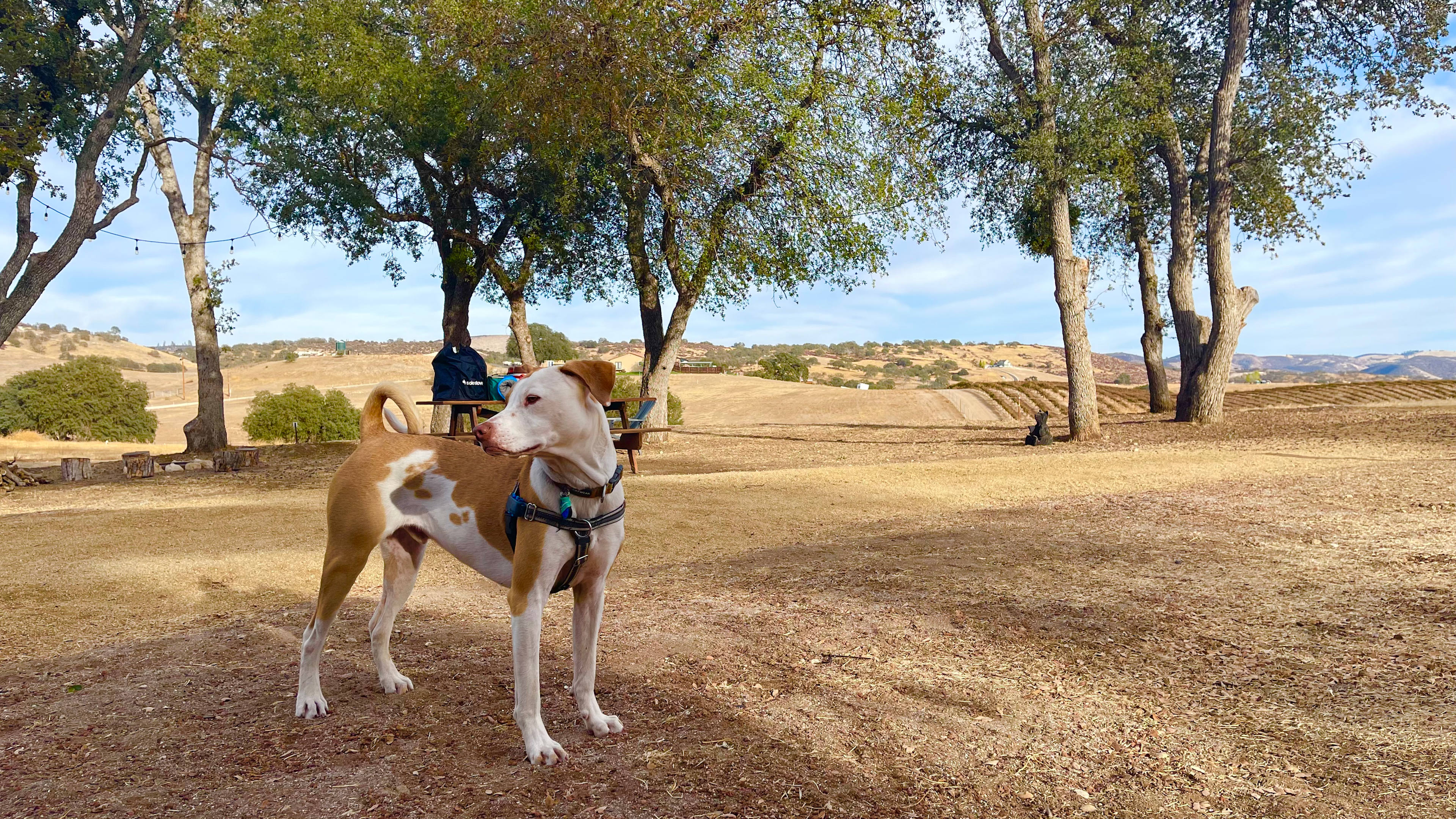 Road's End, Bradley Lockwood