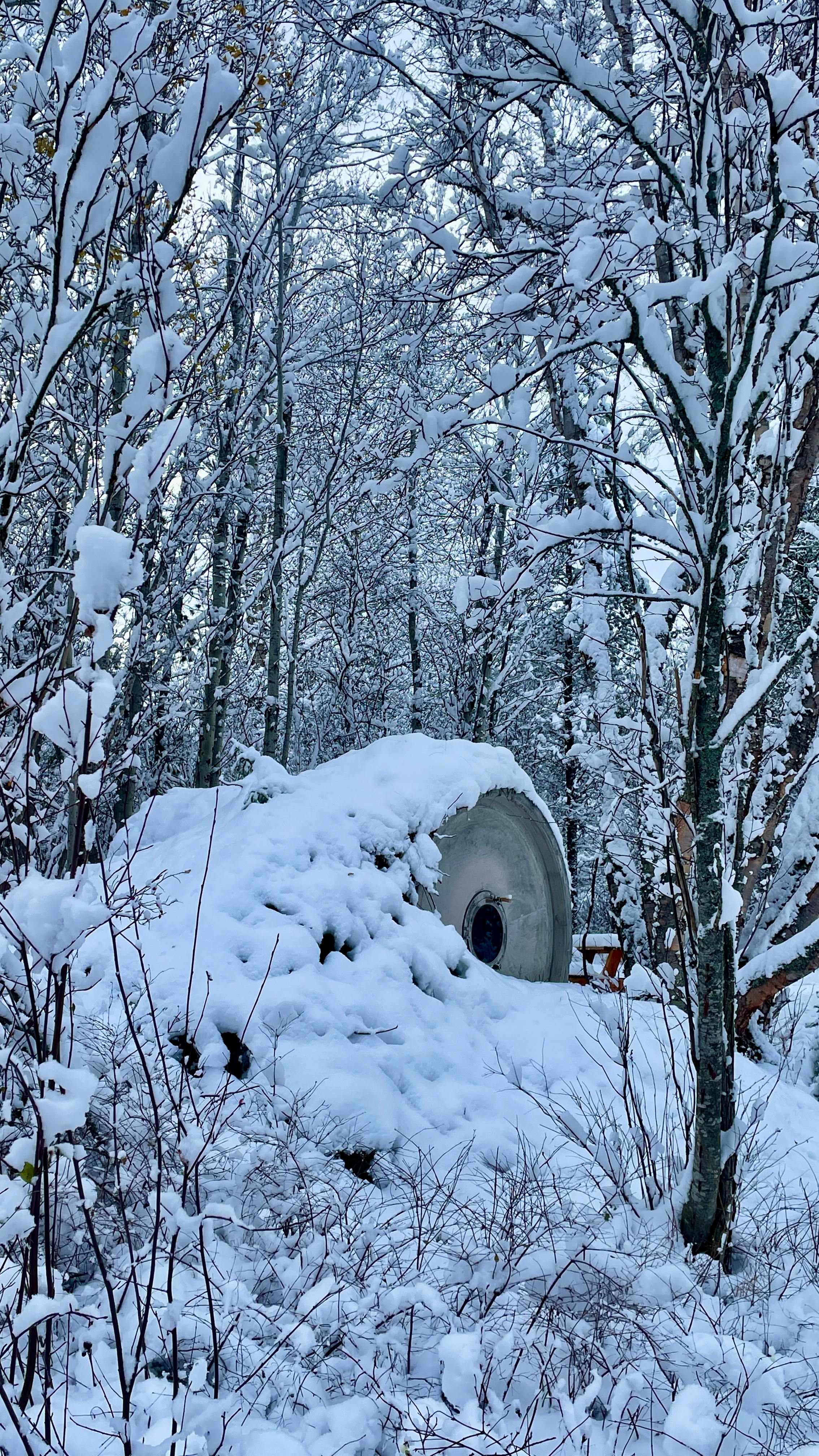 Winter camping in the Tube Tent  and the  Glacier HipCamp