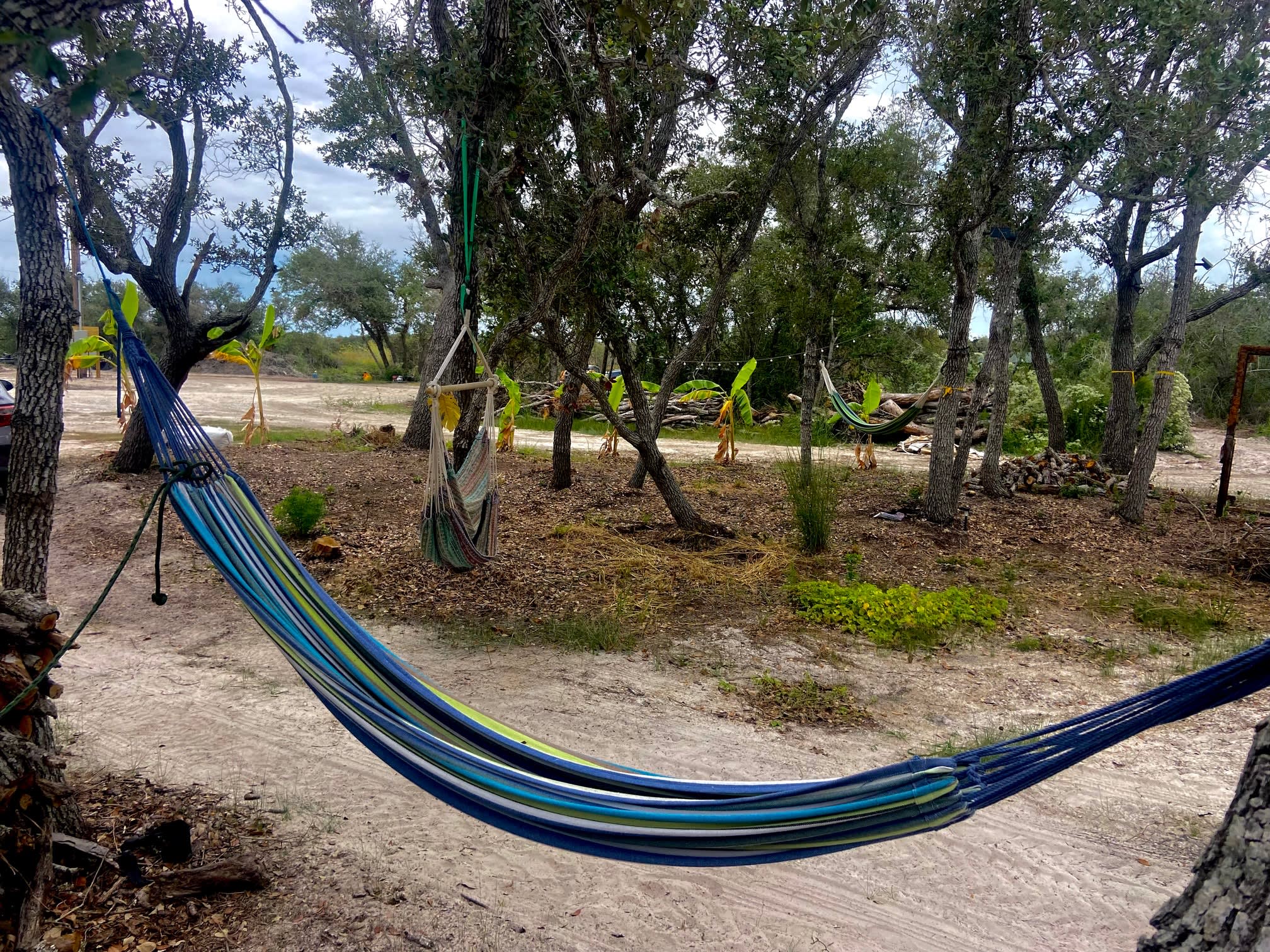 The Hammock Grove 