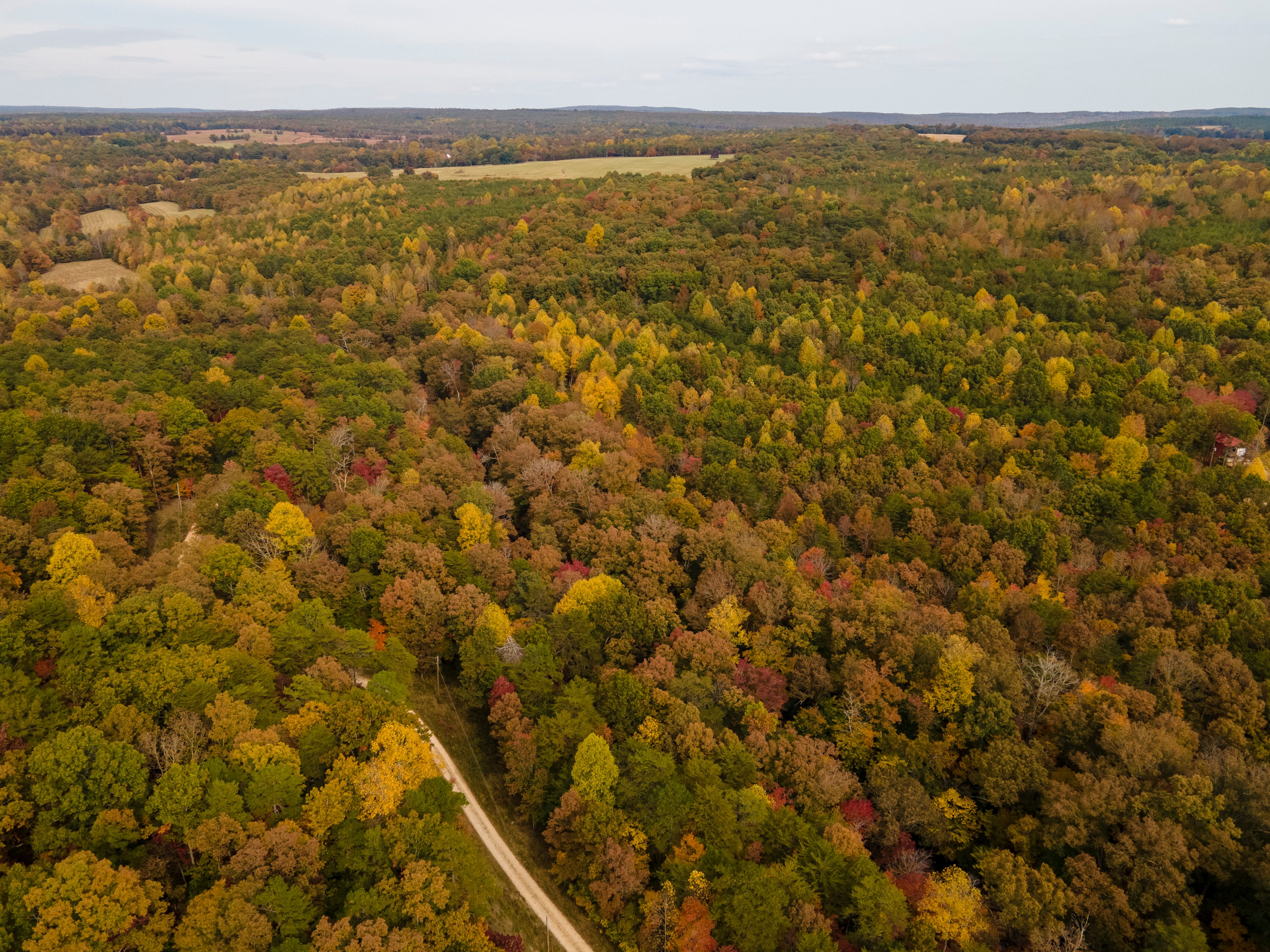 Fall colors