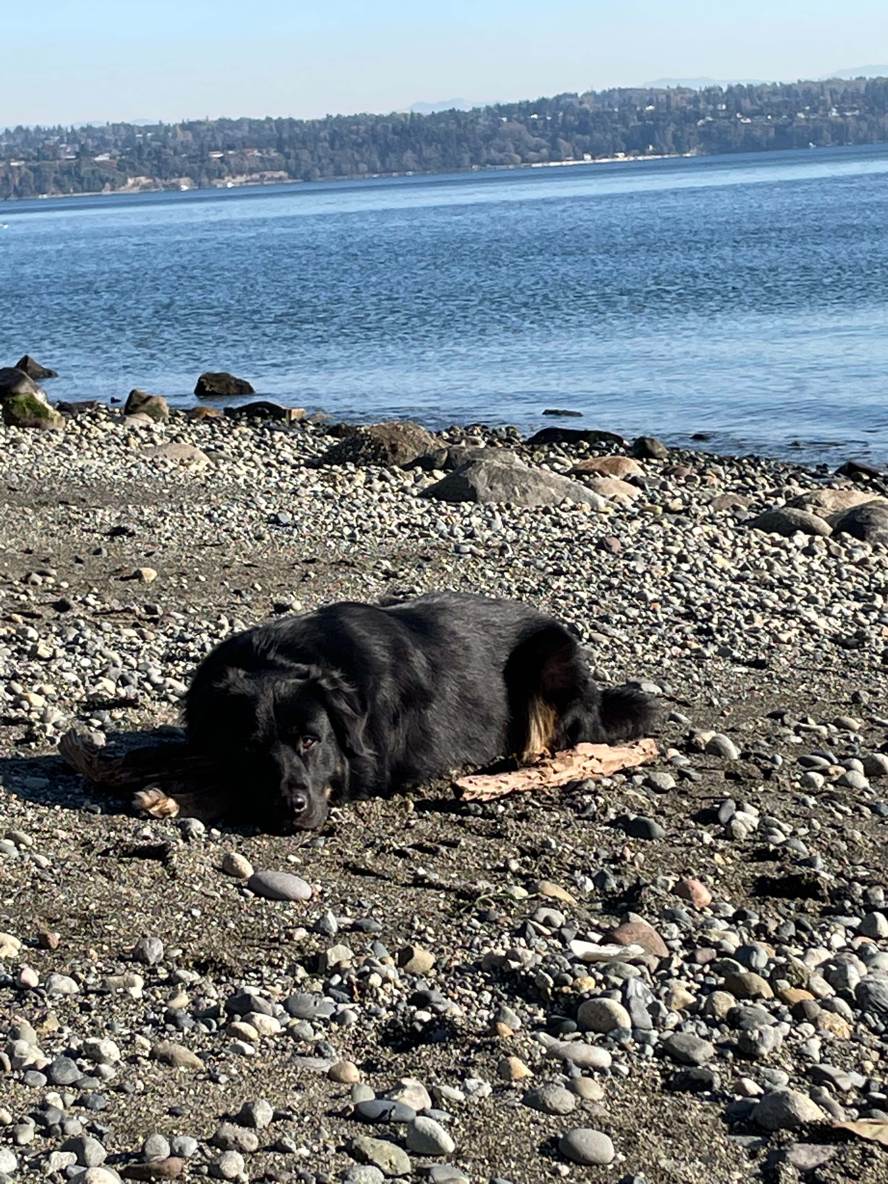 Private Beach, 15 Acres, Vashon