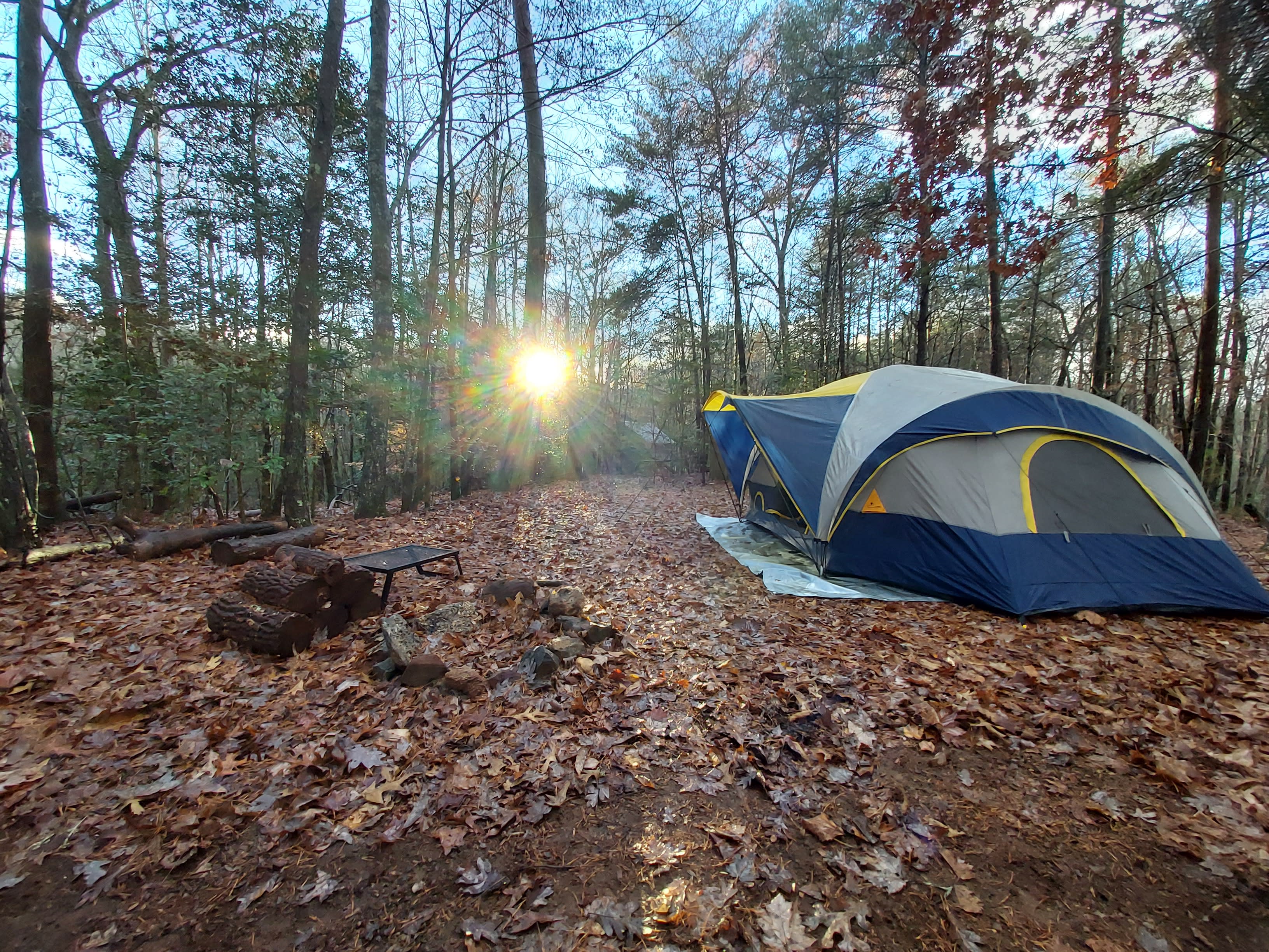 Wooded Camping at Pond