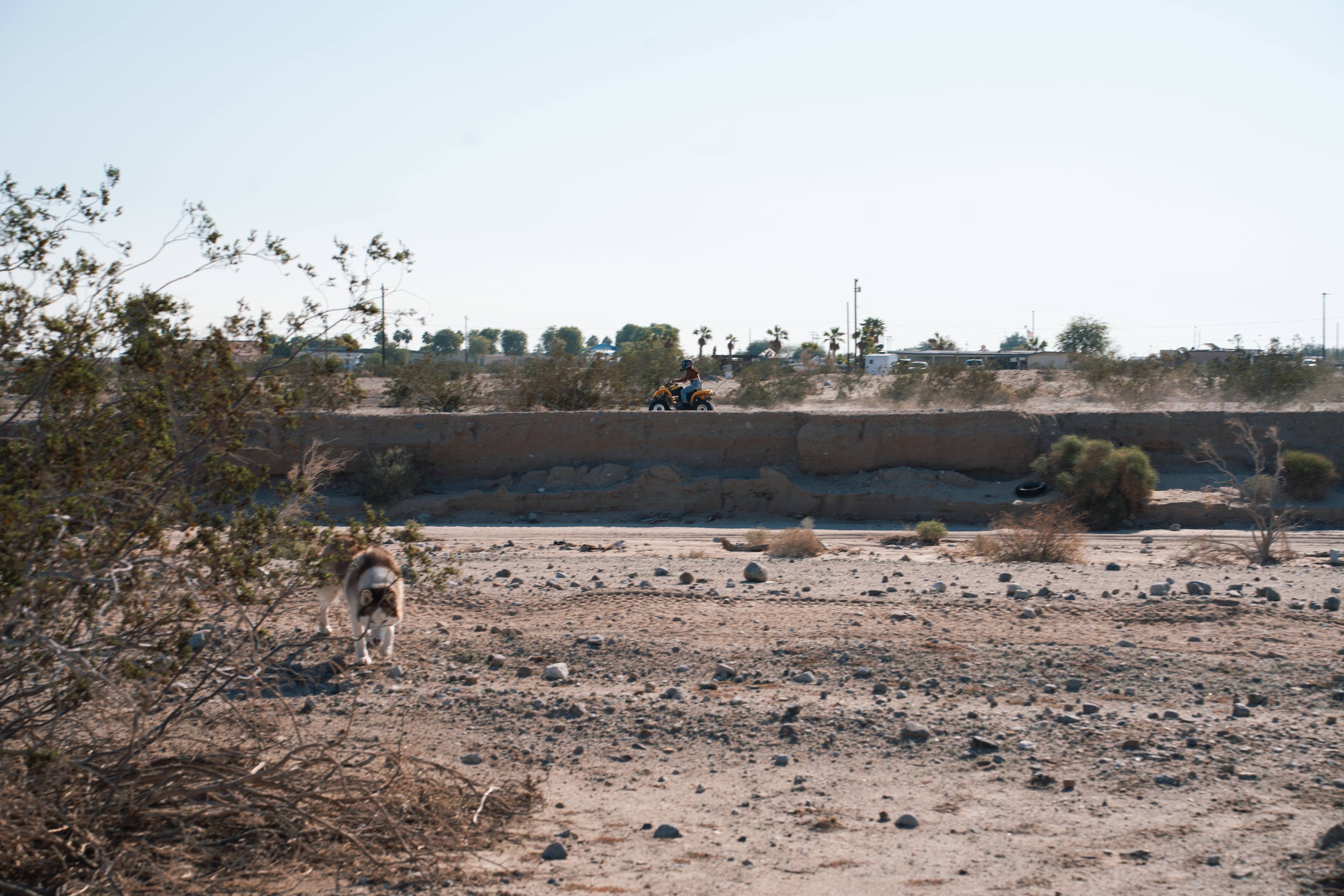 Salton Sea Nymphs