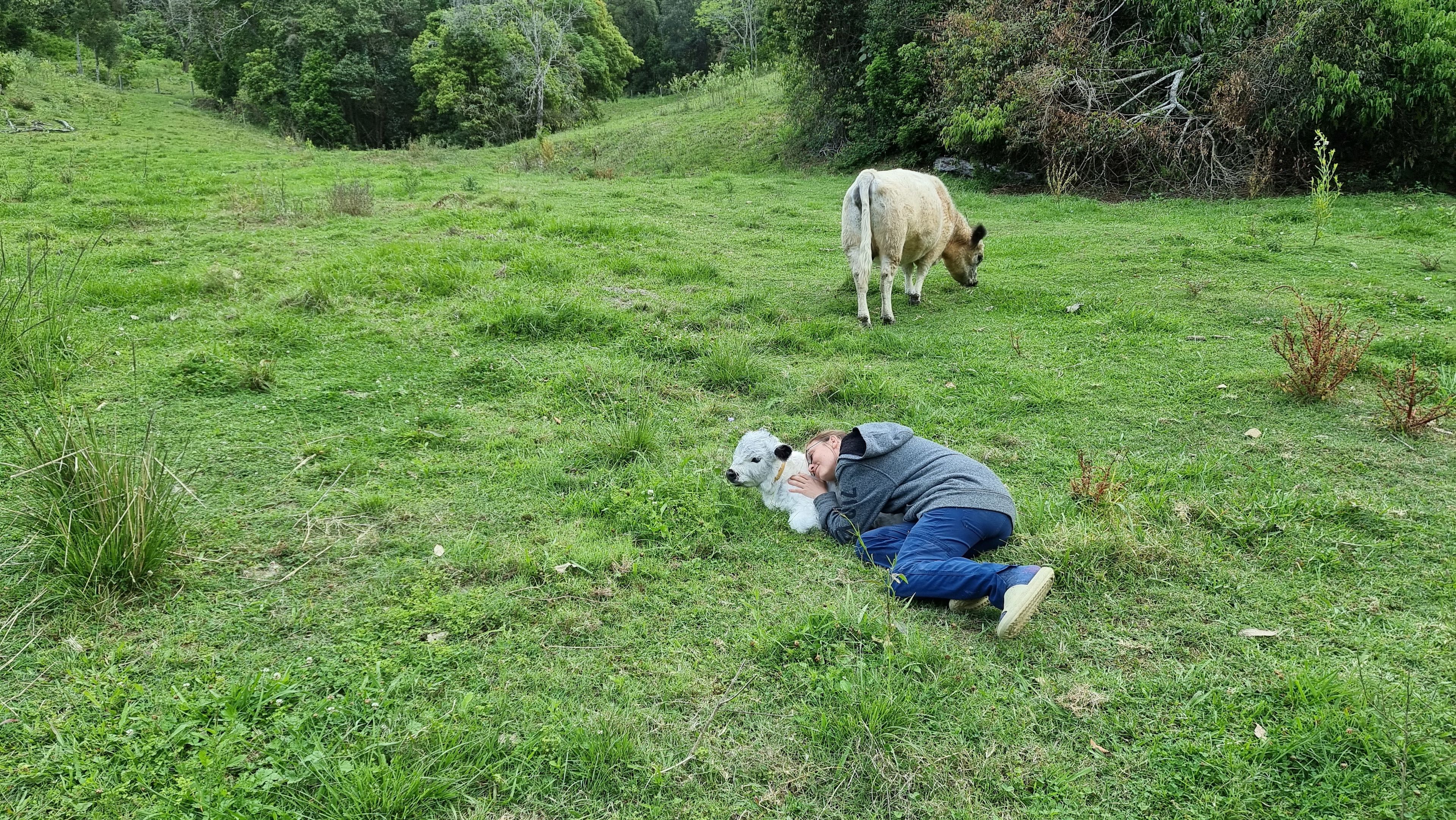Wonderland 4WD Bushcamp