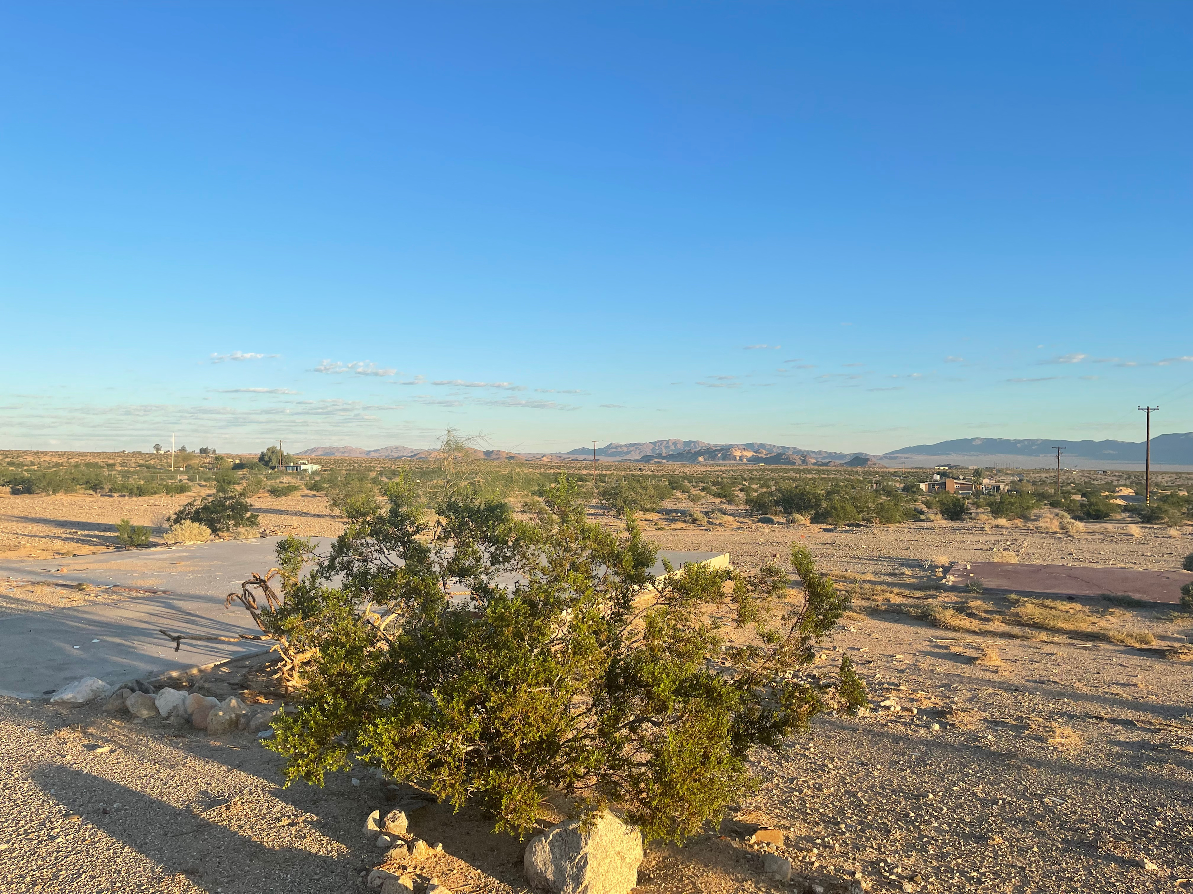 Sunny Desert Acres