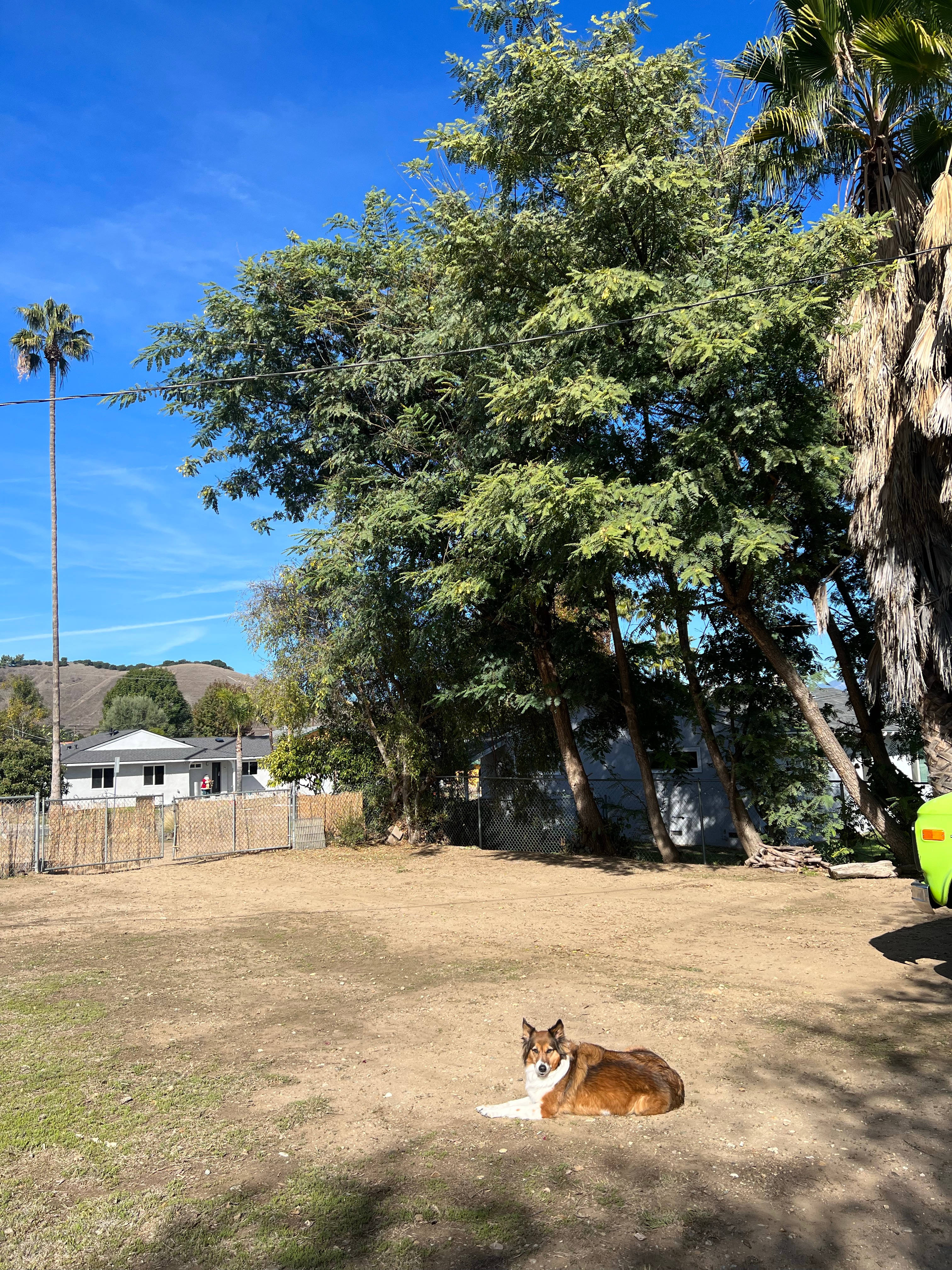 Large fenced in yard, very pet friendly