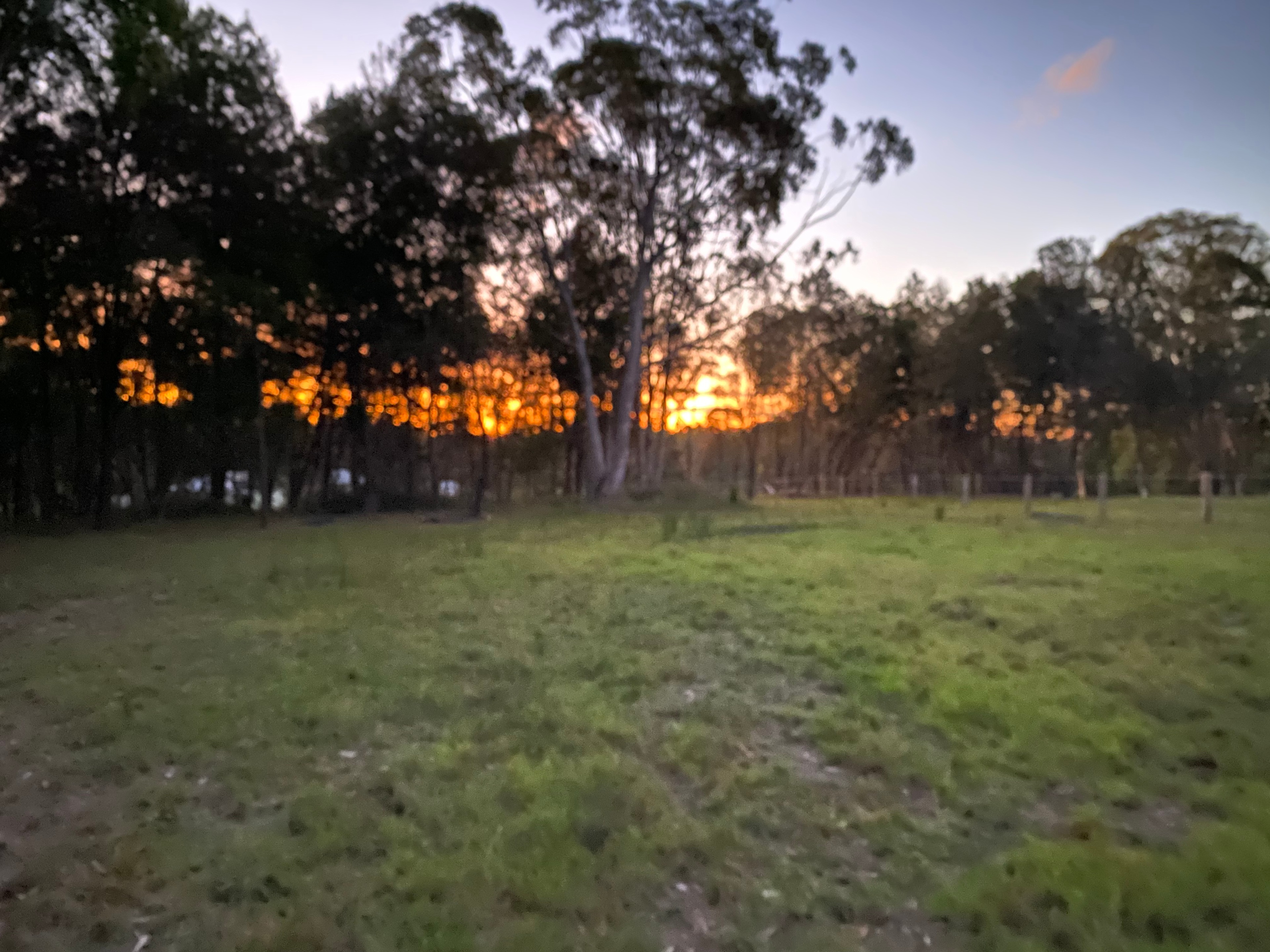 Amaroo Acres