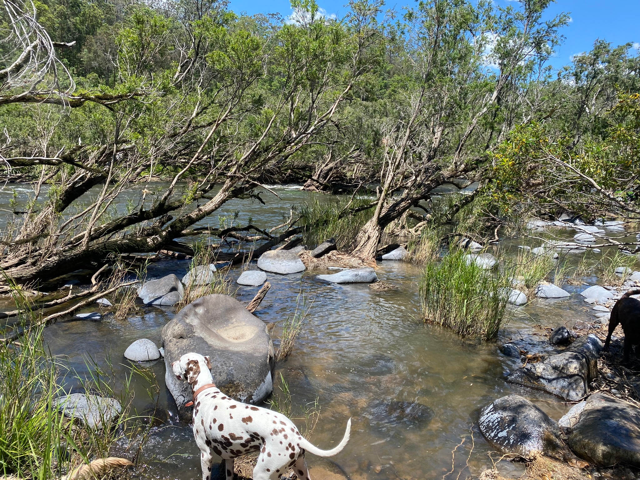 On the Clarence Camping