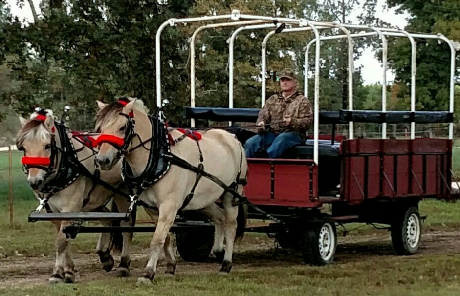 Cedar Fire farm: SRI: Kamp kessa