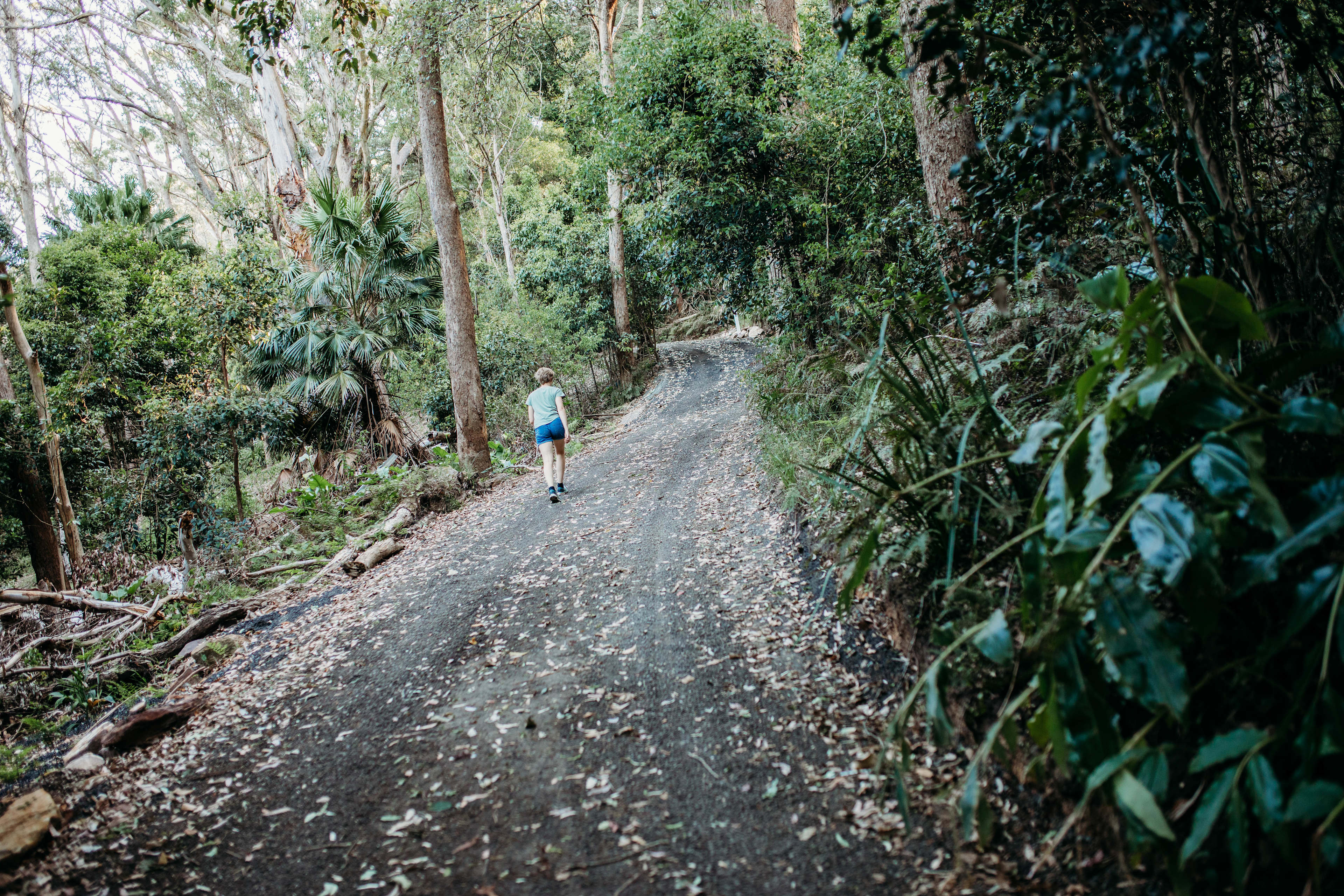 The driveaway to enter the property is very steep and not suitable for some vehicles. Contact the host for more info before arriving