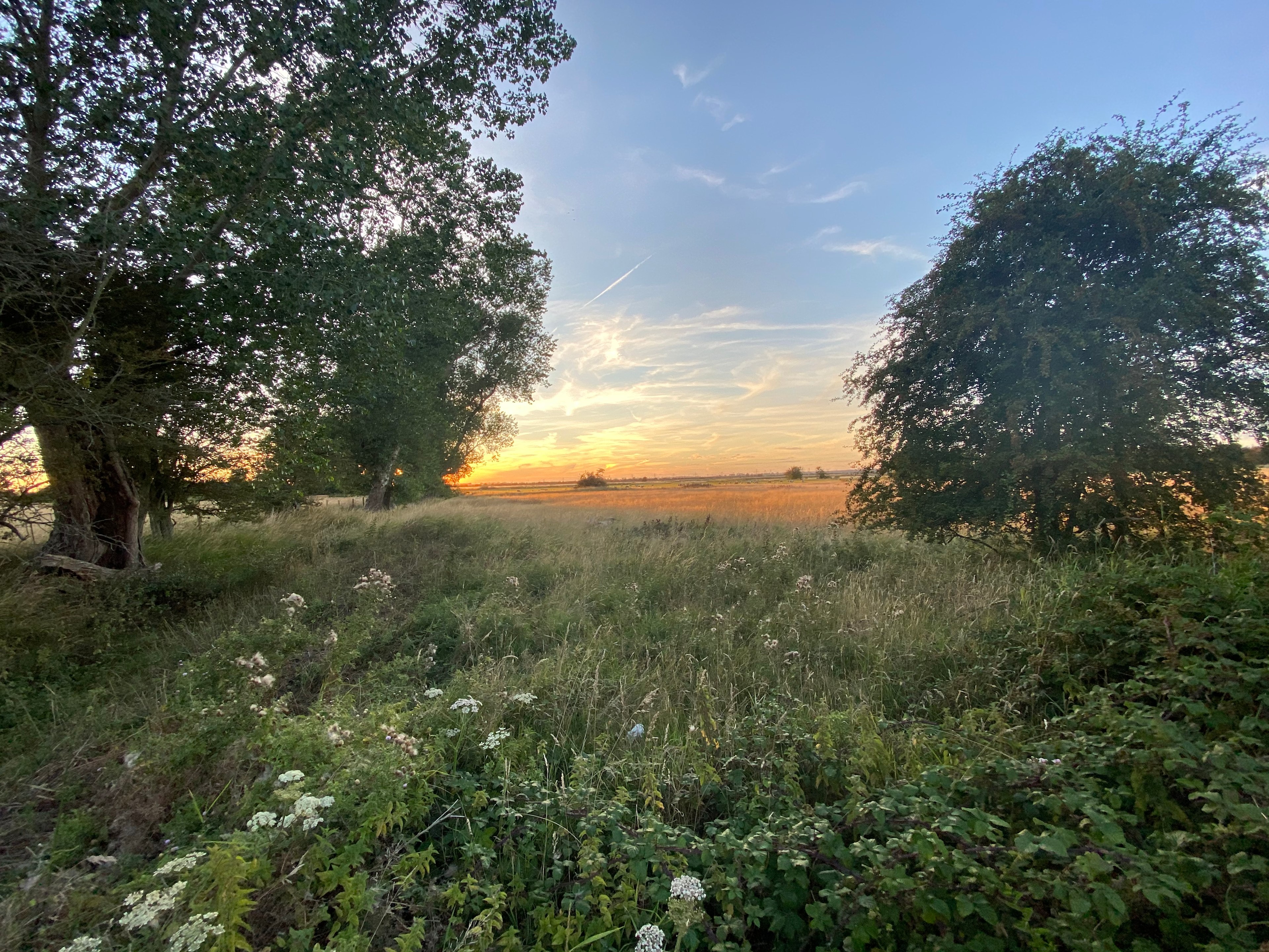 The Hut @ Bride Farm