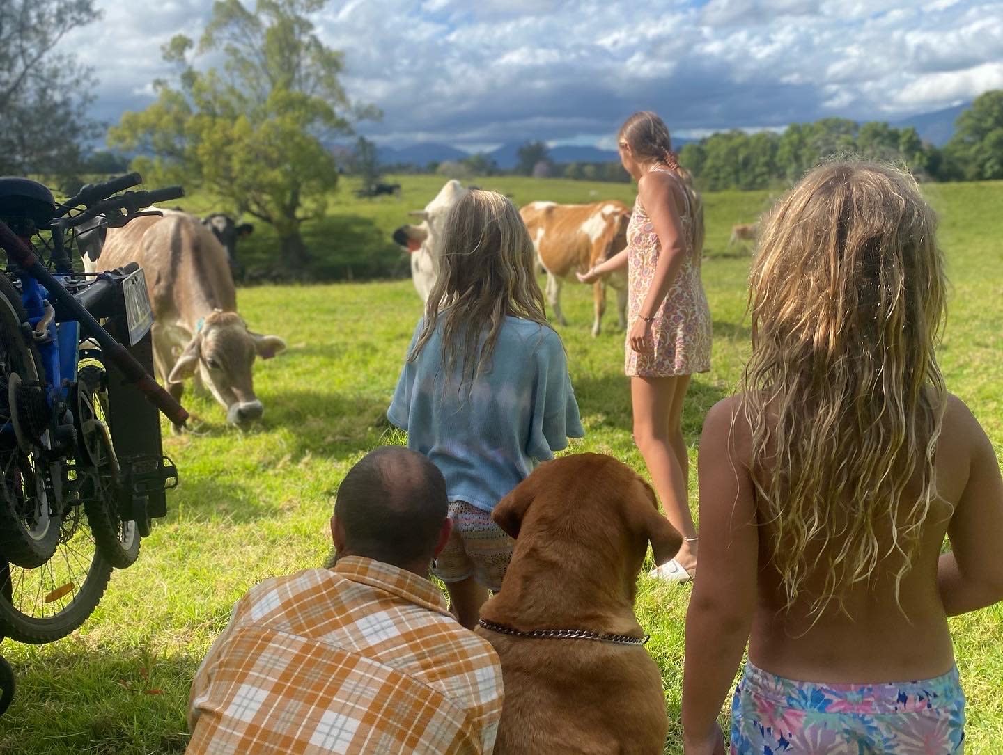 Bellinger River Camping