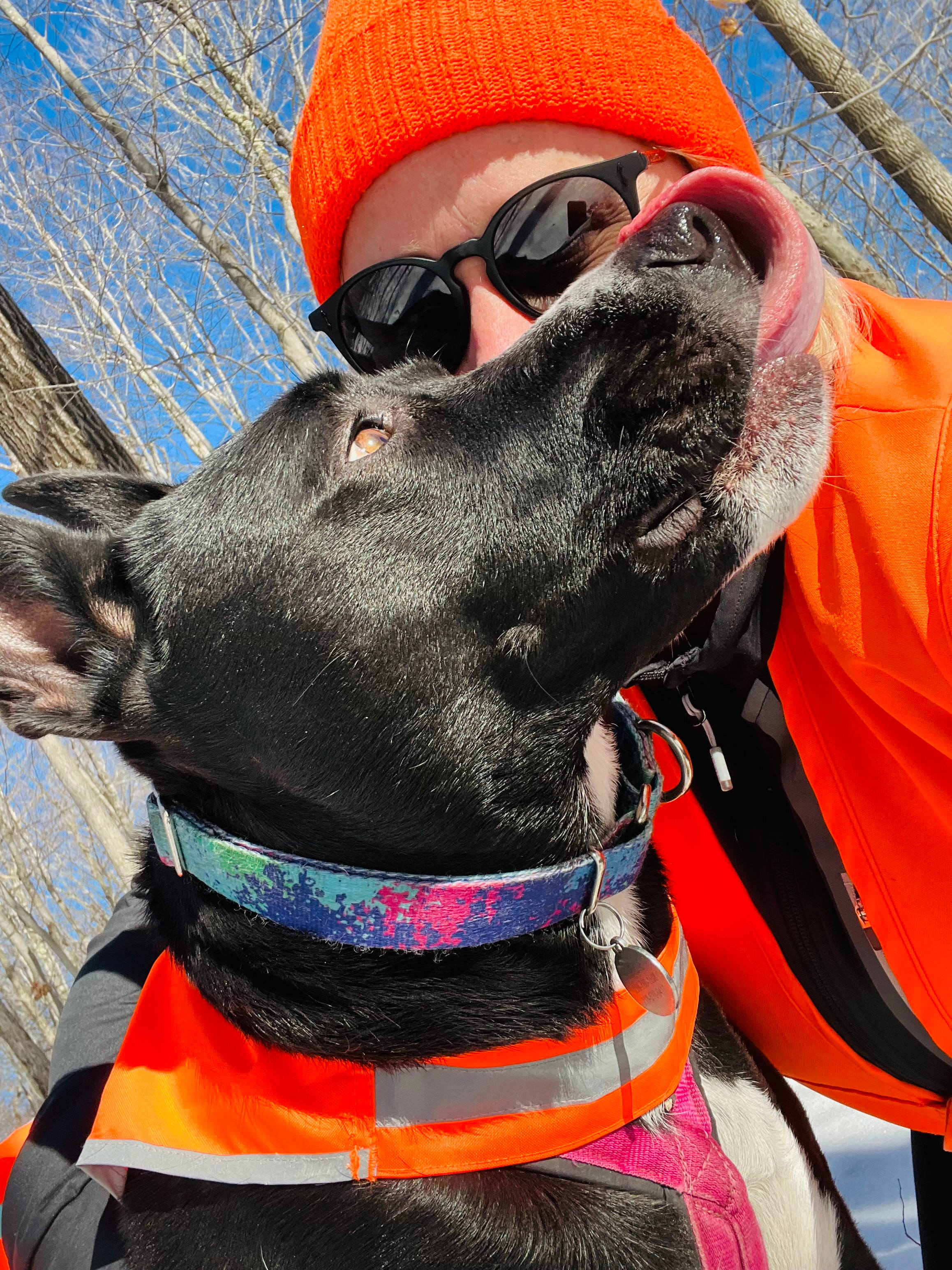 Trees of Life Retreat (ToLR)