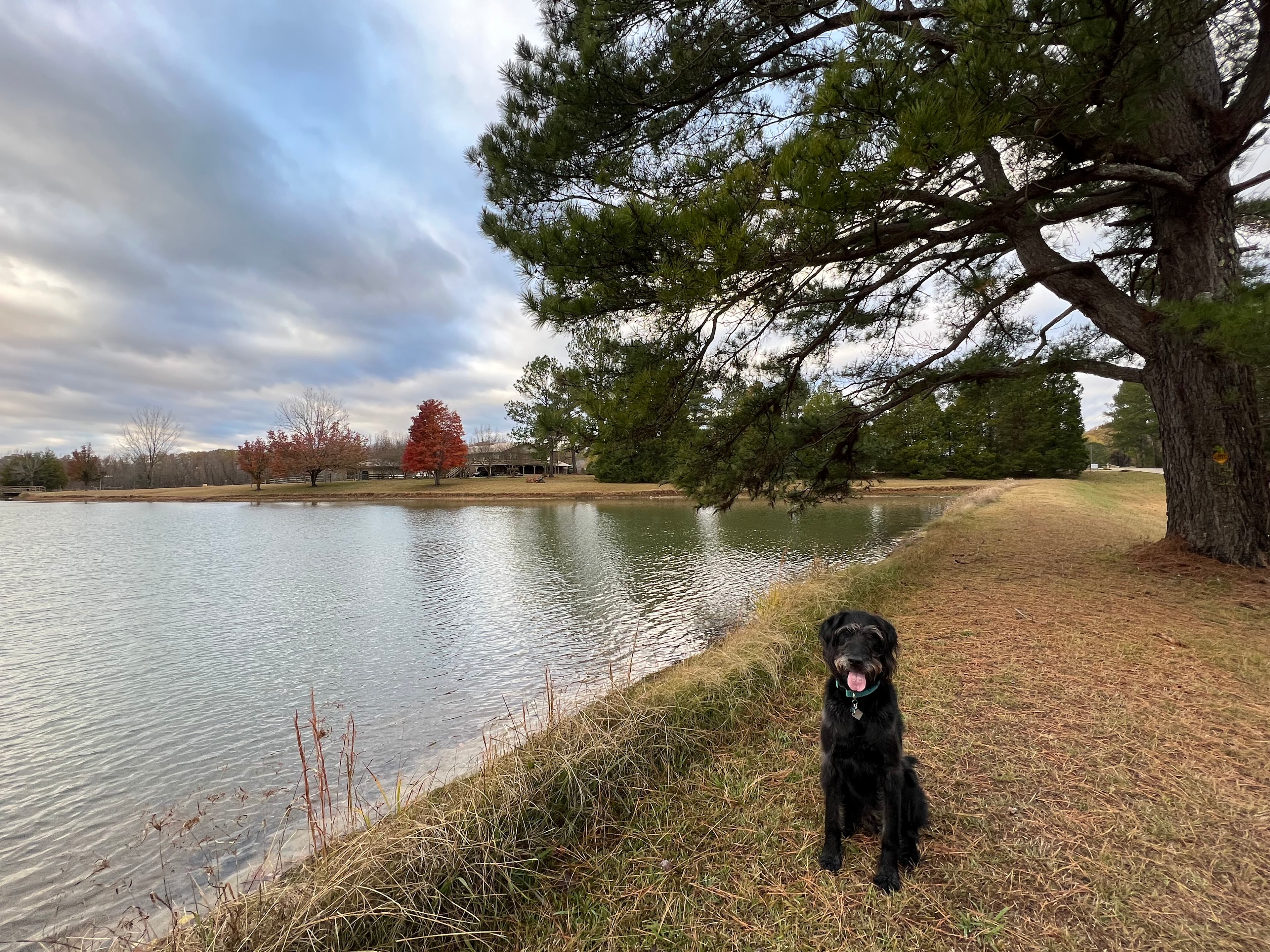 Moon Lake Farm - Camp, Fish, Relax