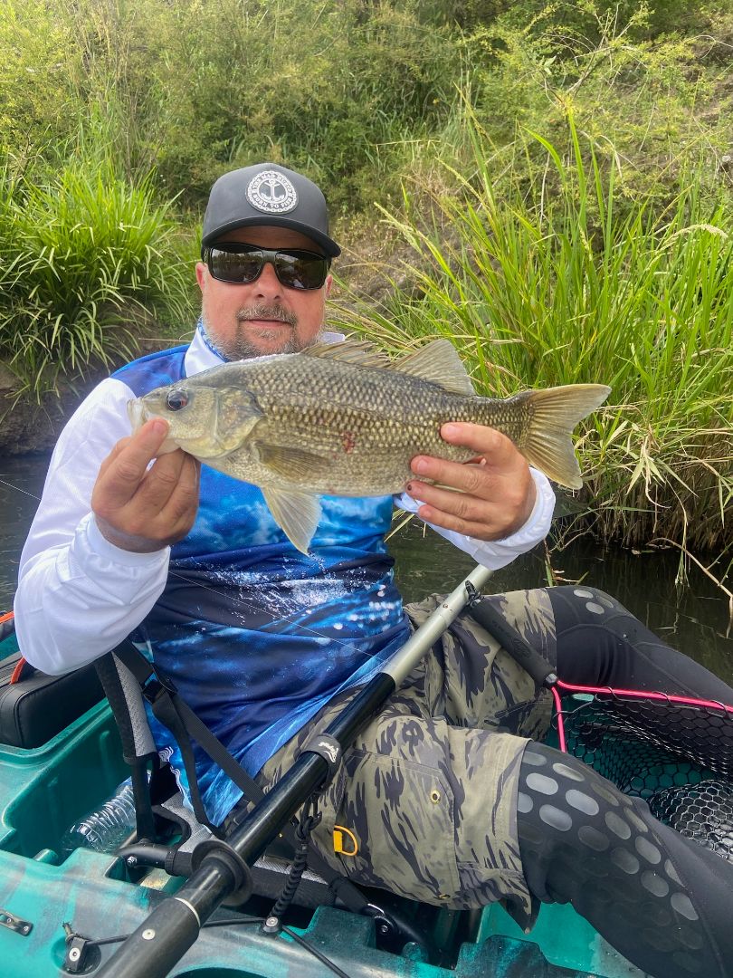 Upriver Escape (groups) Yarras East