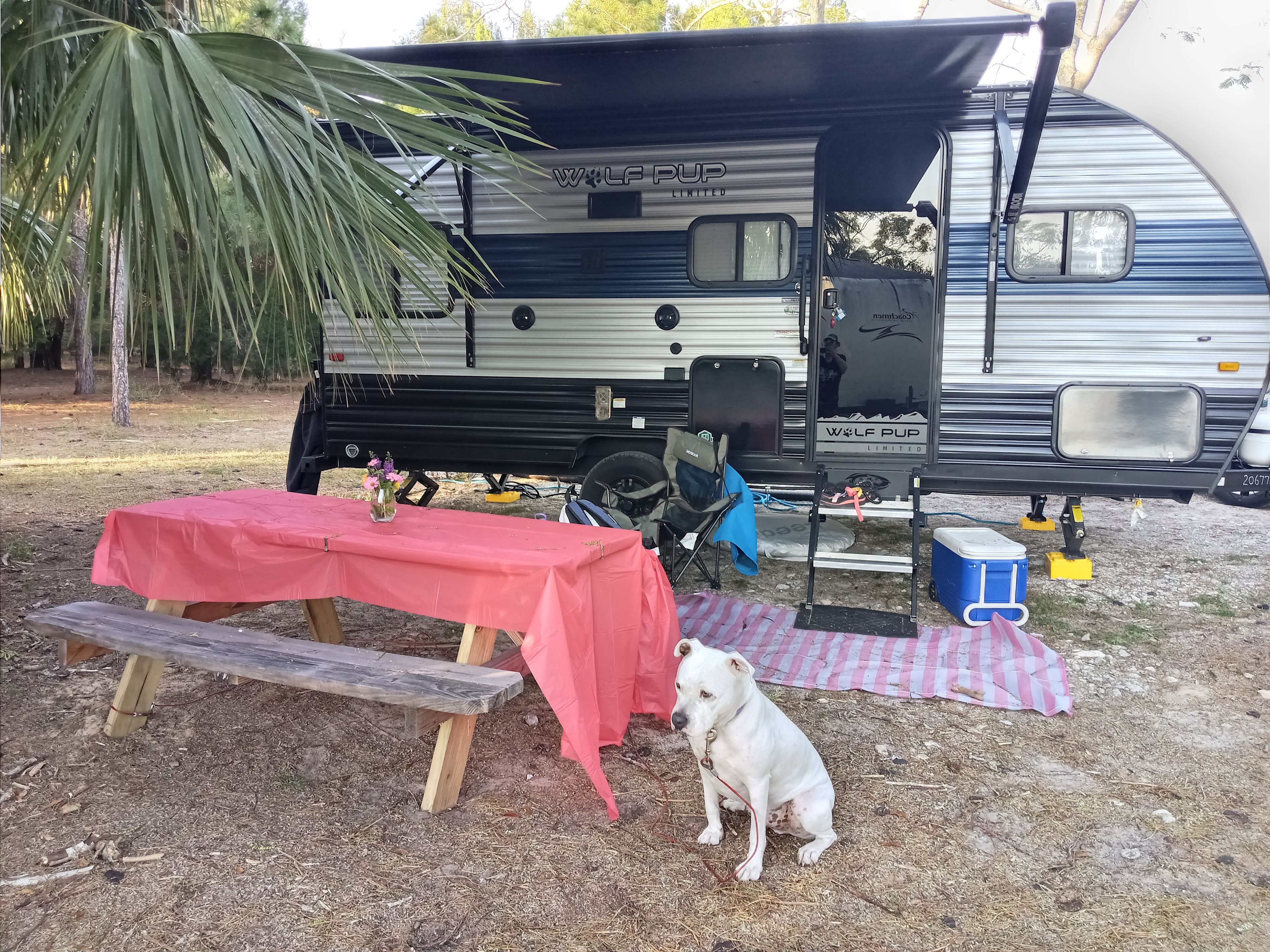 The flowers on the table were from the host!!
