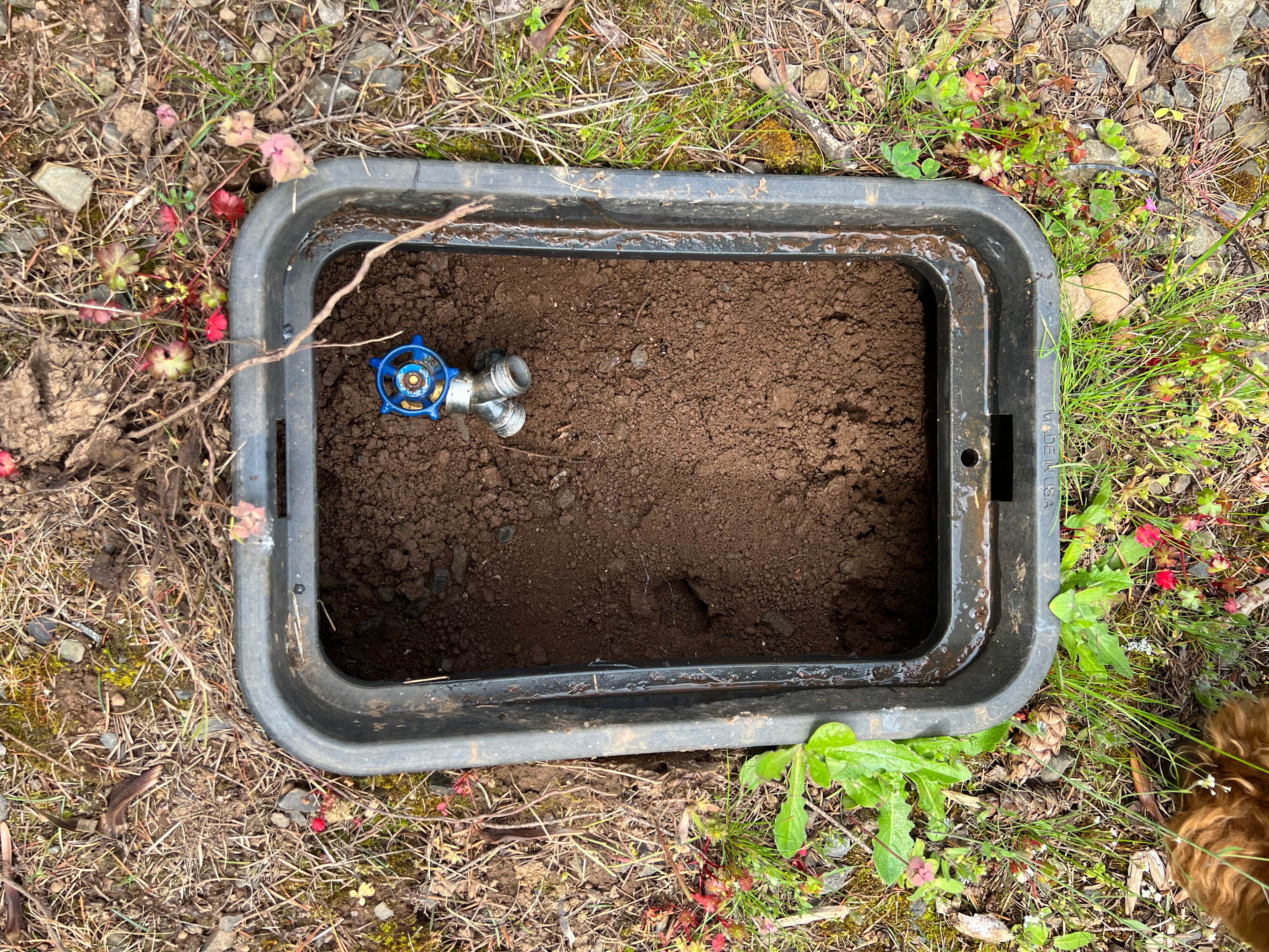 RV Paradise in the Woods