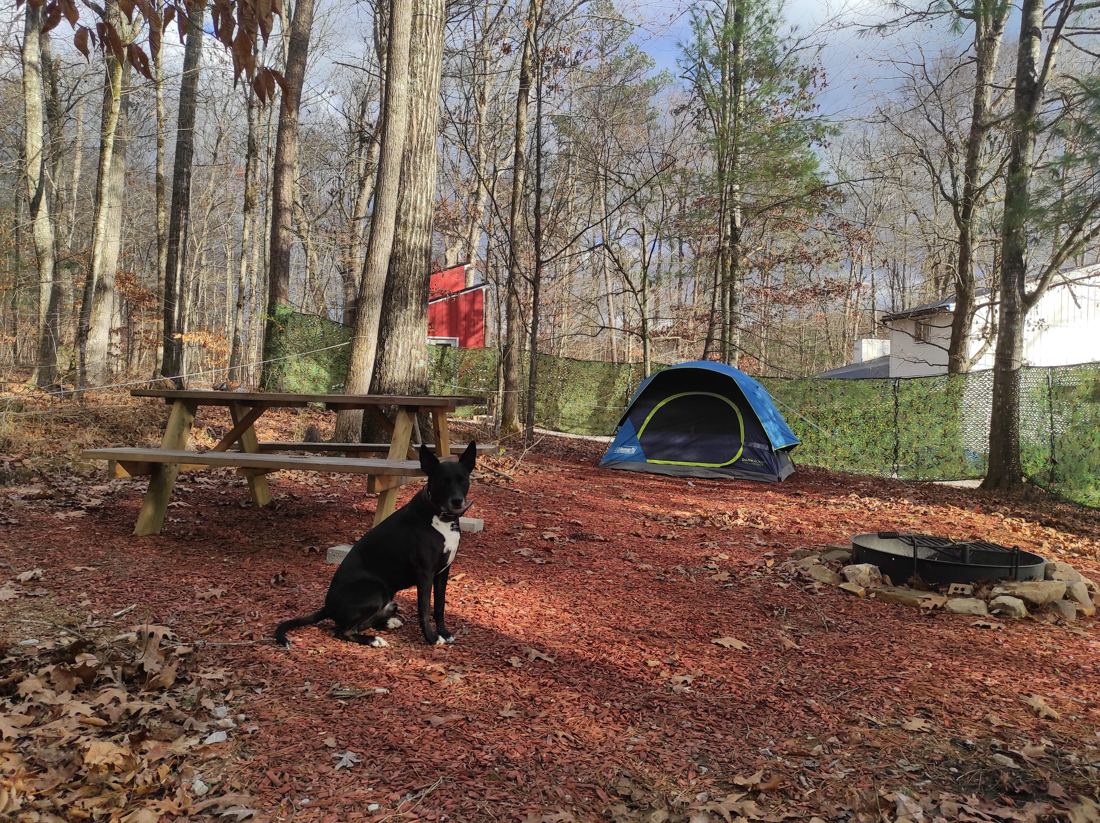 Shiloh @ Watts Bar Tent Campsite