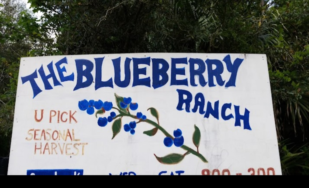 The Blueberry Ranch
